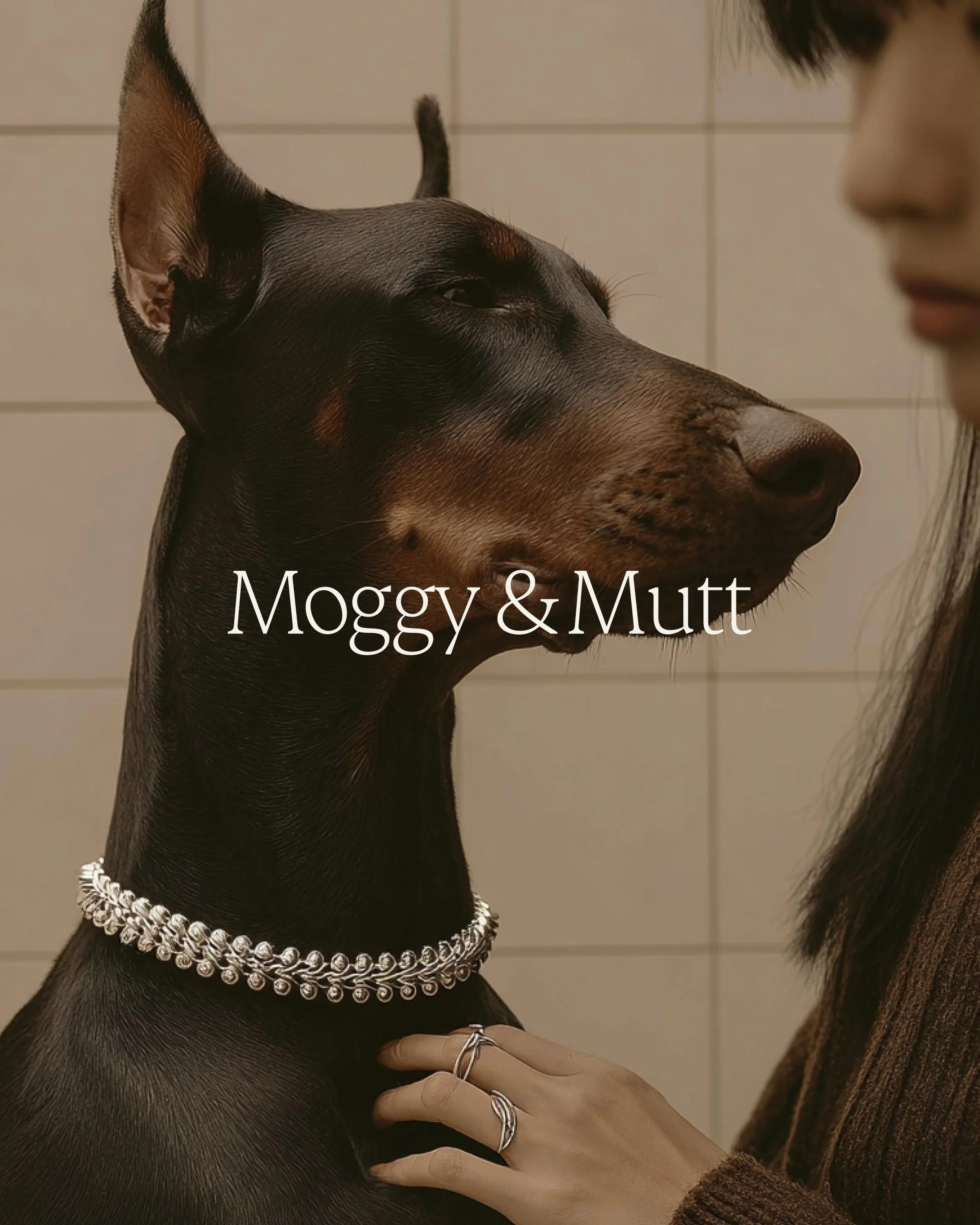 Moggy &amp; Mutt sits at the intersection of pet ownership, personal style and everyday luxury.

The brand was designed to feel considered rather than cute, editorial rather than expected, and refined enough to sit comfortably in the world of fashion