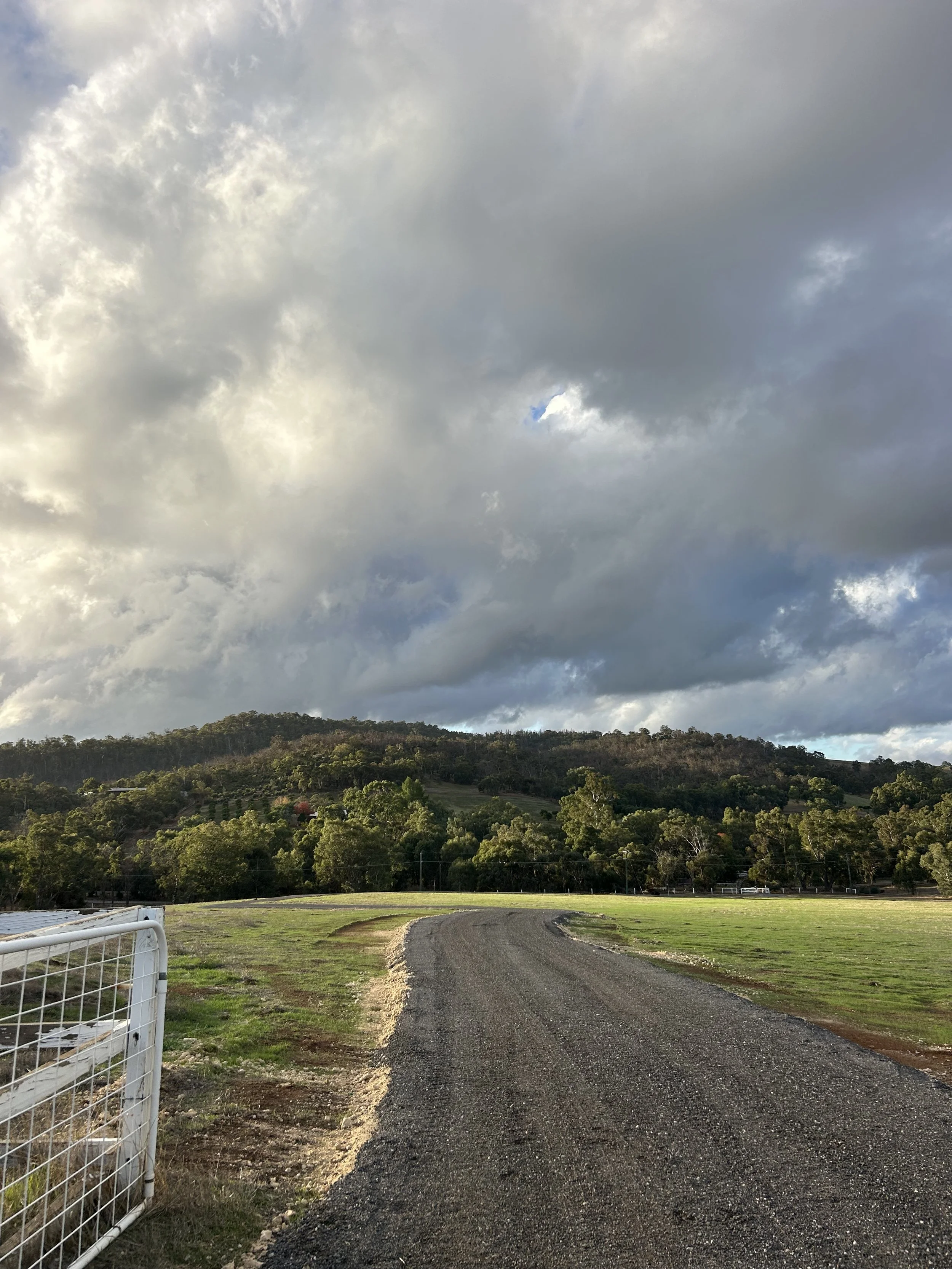 A gravel road curves through a grassy field with green trees on a hillside under a cloudy sky.