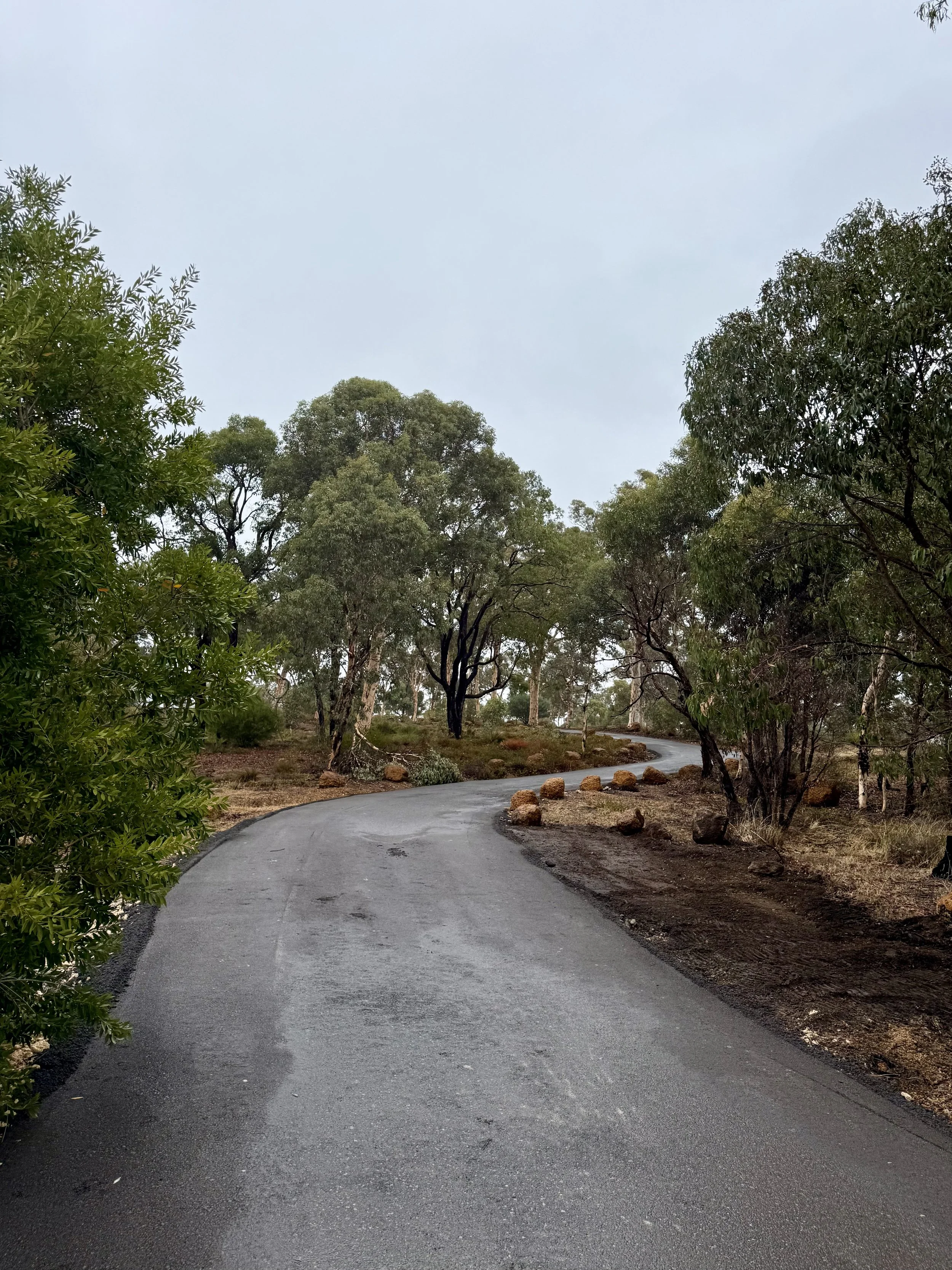 A gravel country road winding through green fields, with a black horse grazing on the left side, under a partly cloudy sky.