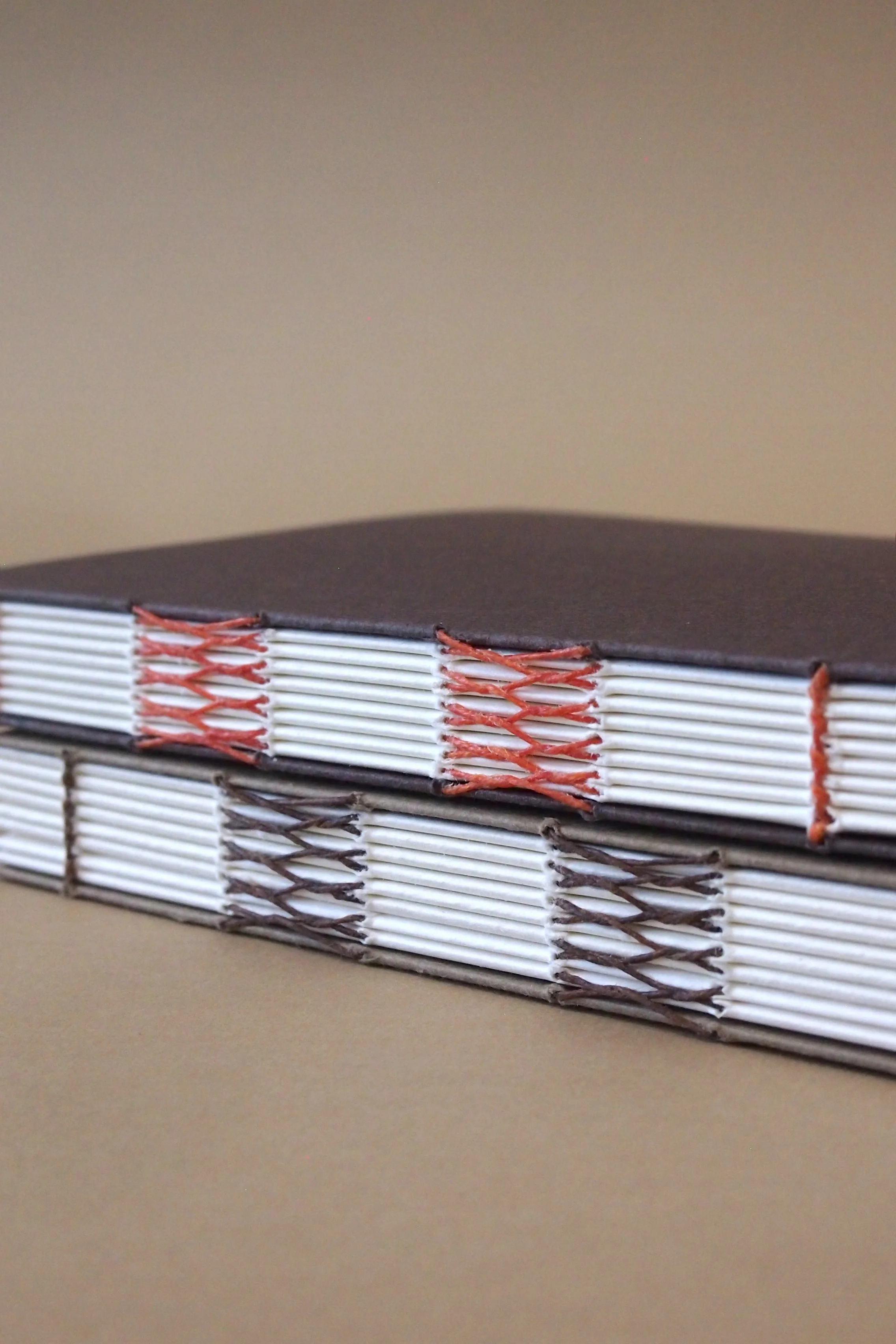 P1017978e.jpg