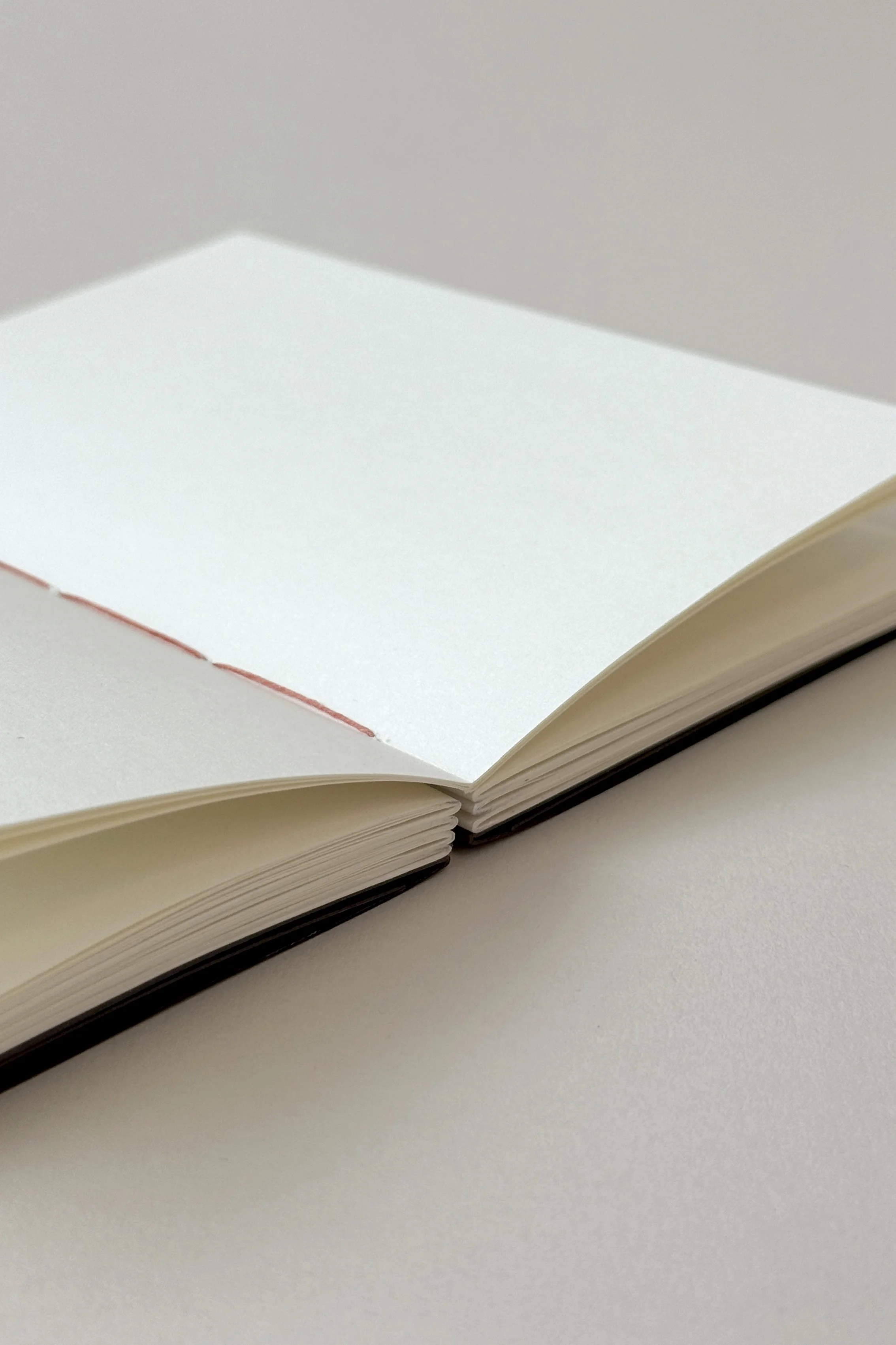 Coptic Binding_2_small.jpg