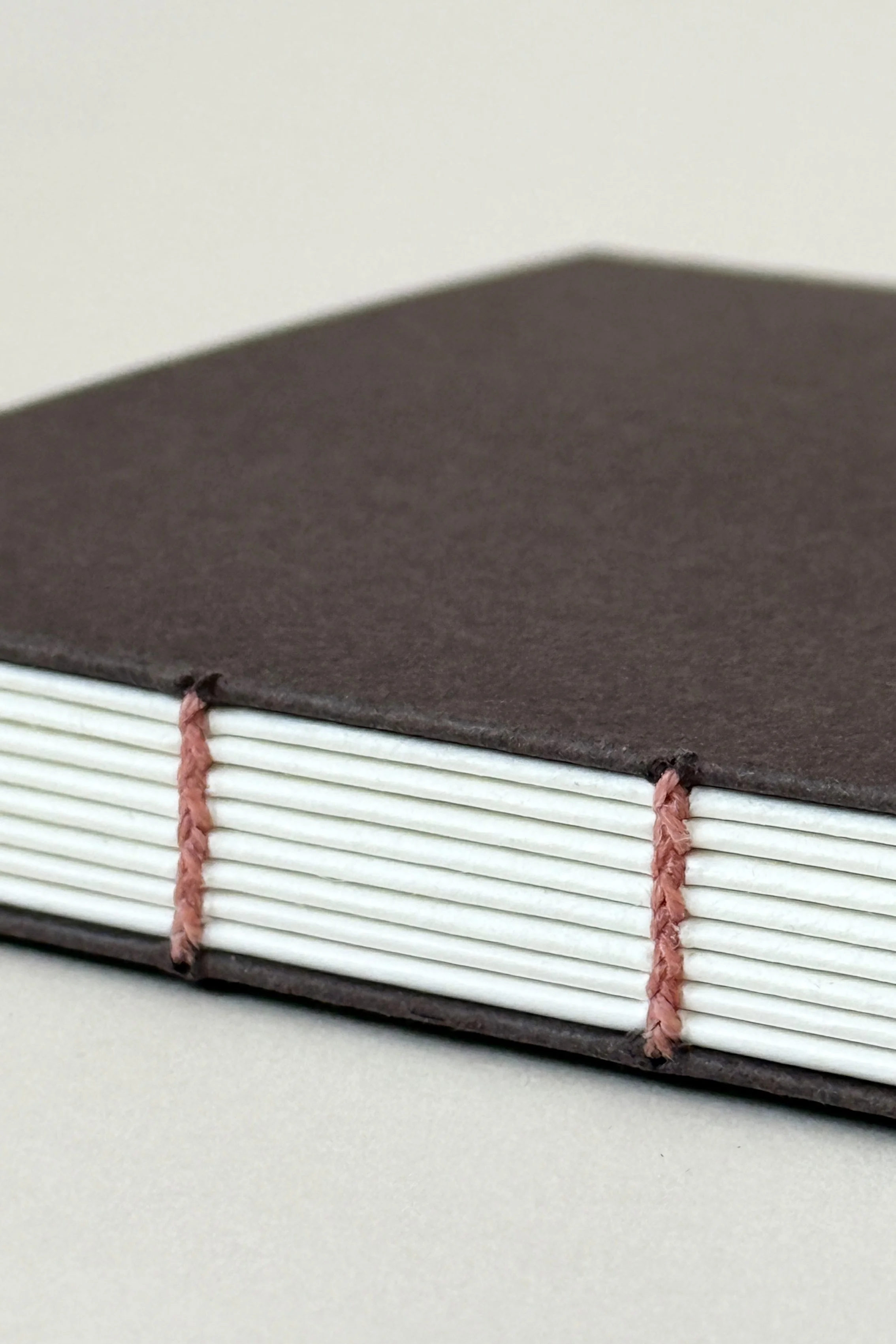 Coptic Binding_1_small.jpg