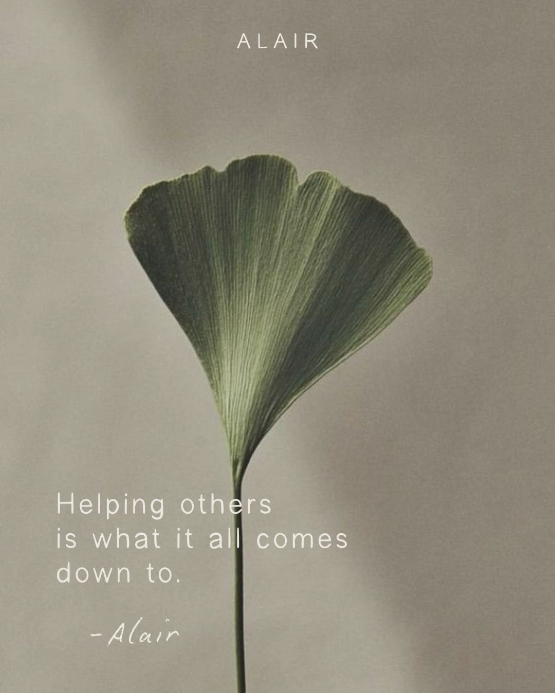 What does Alair mean to you?

I&rsquo;m working on our mission statement, and it all comes back to quality, care, and holding ourselves to the highest standards.

Tell me what Alair means to you 🤍