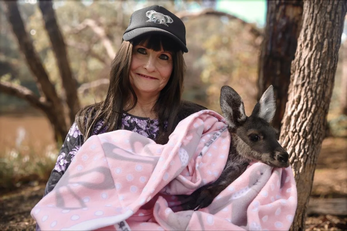 Bridgetown wildlife carer media Western Australia