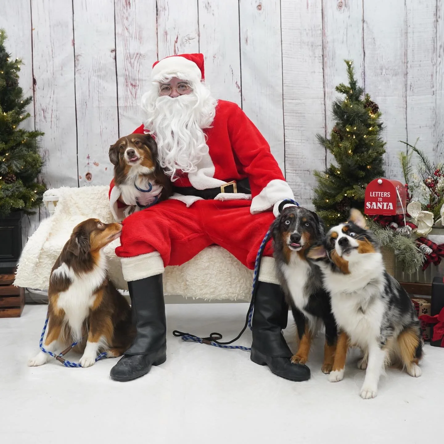 Safe to say these four are on the naughty list this year 🎅