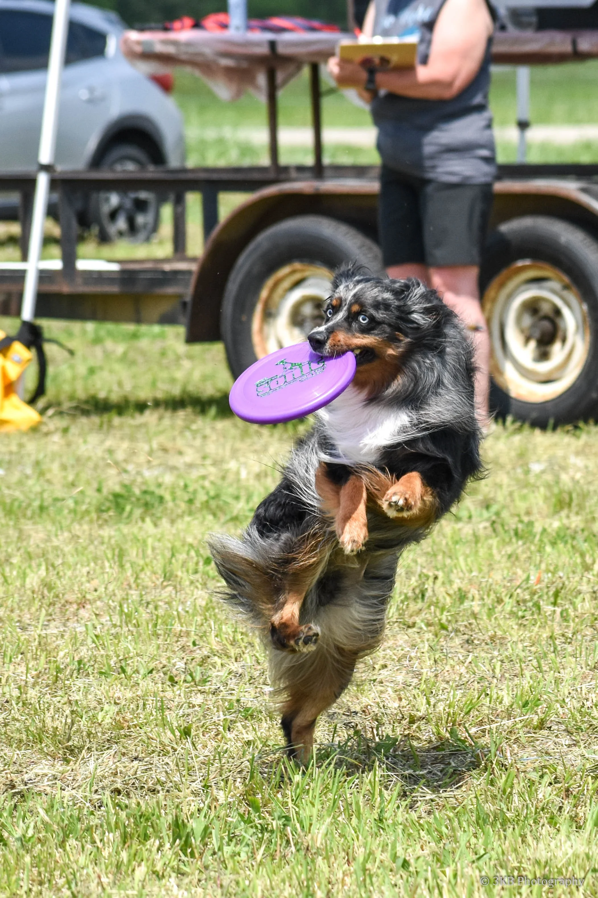 Disc Dogs 5.21.22-2-48.jpeg