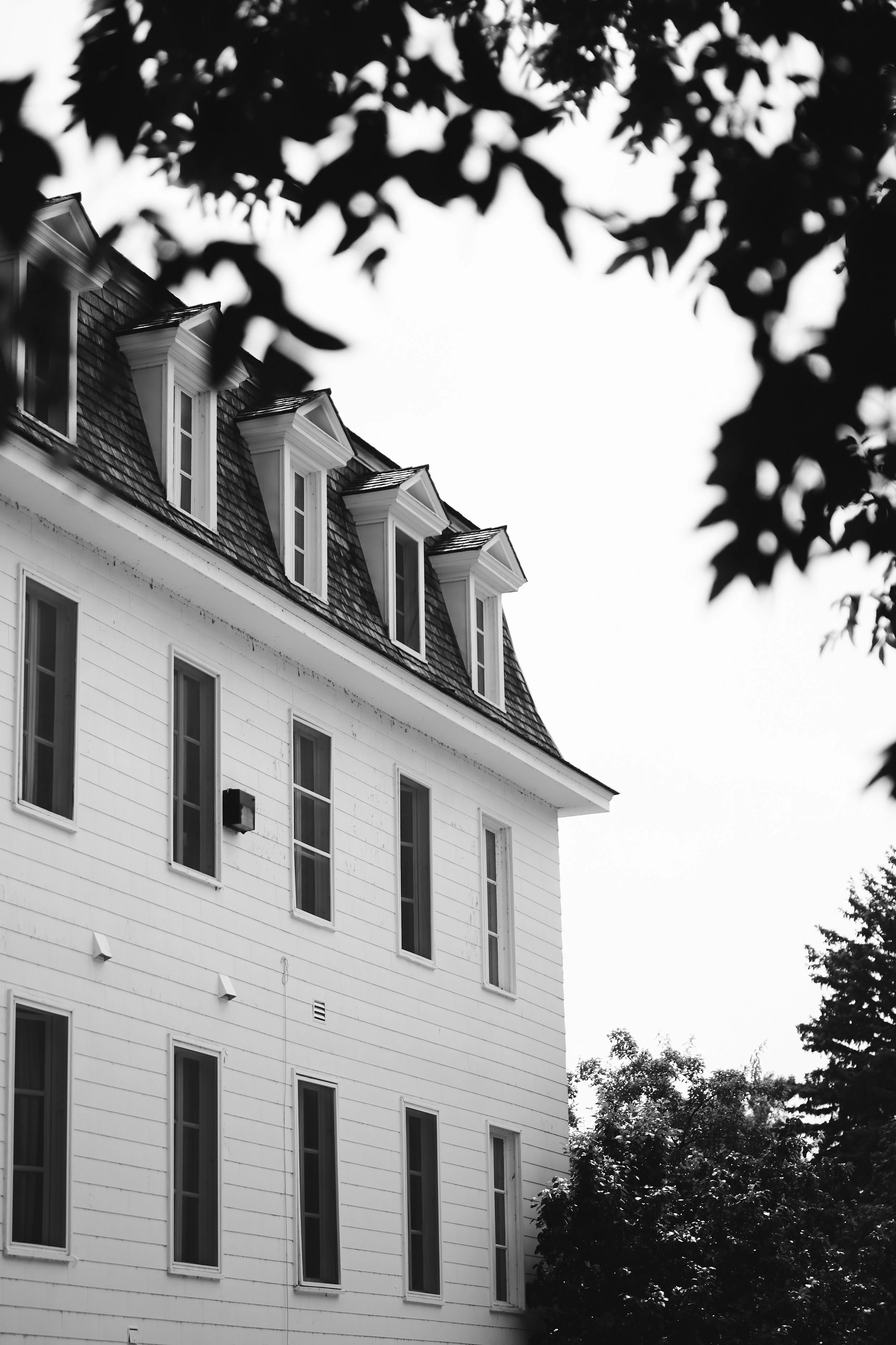 Black and white photo of a white multi-story house with multiple windows and pitched roof with dormer windows, partially framed by tree leaves.