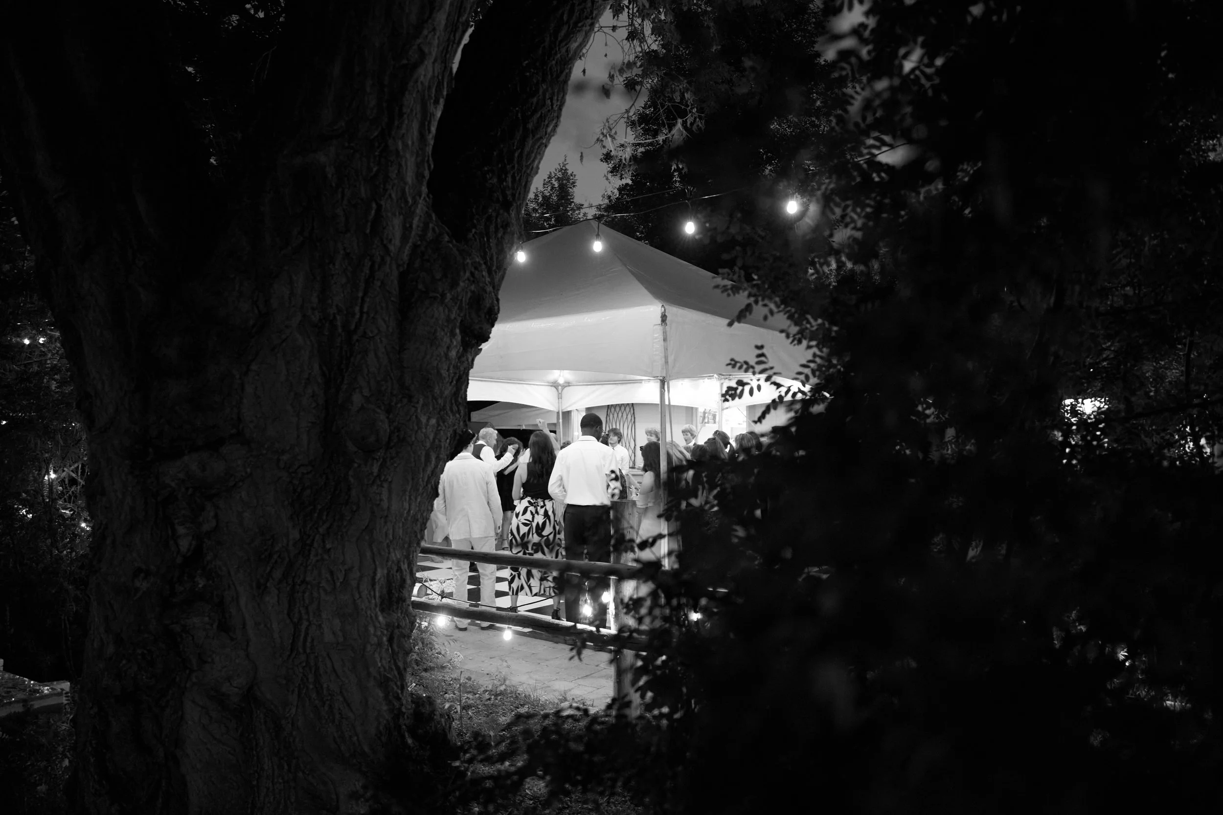 People gathered under a tent at night, seen through trees and foliage, illuminated by string lights.