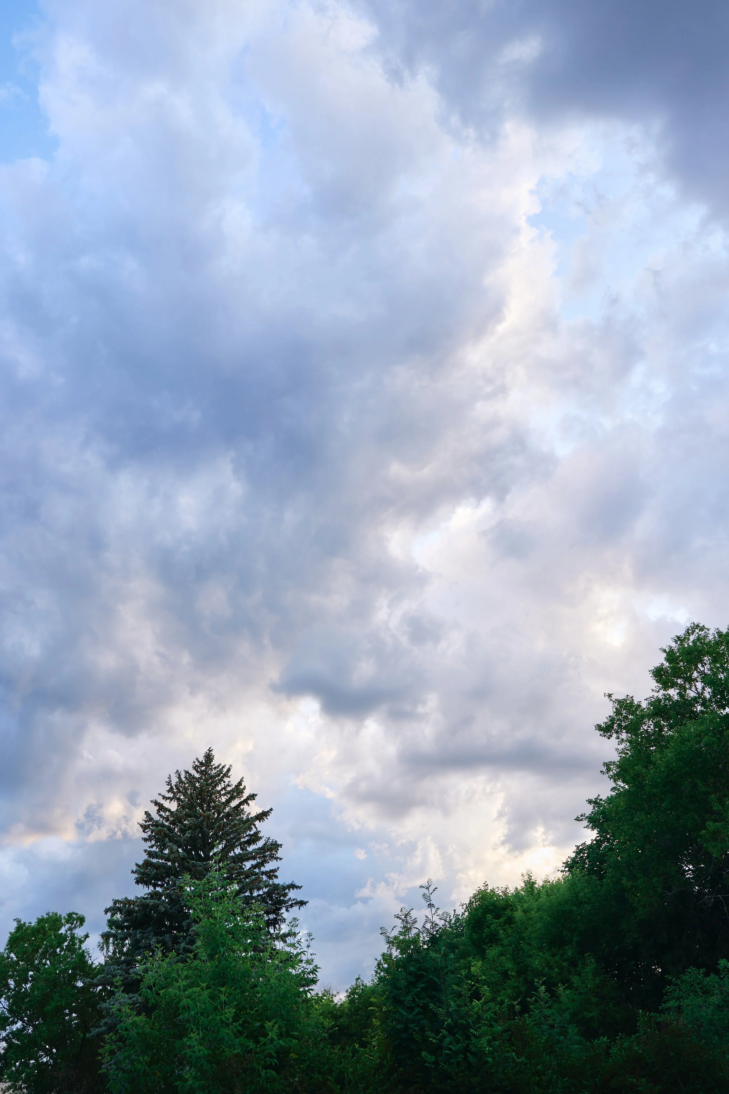 Sky with clouds above green trees and bushes.