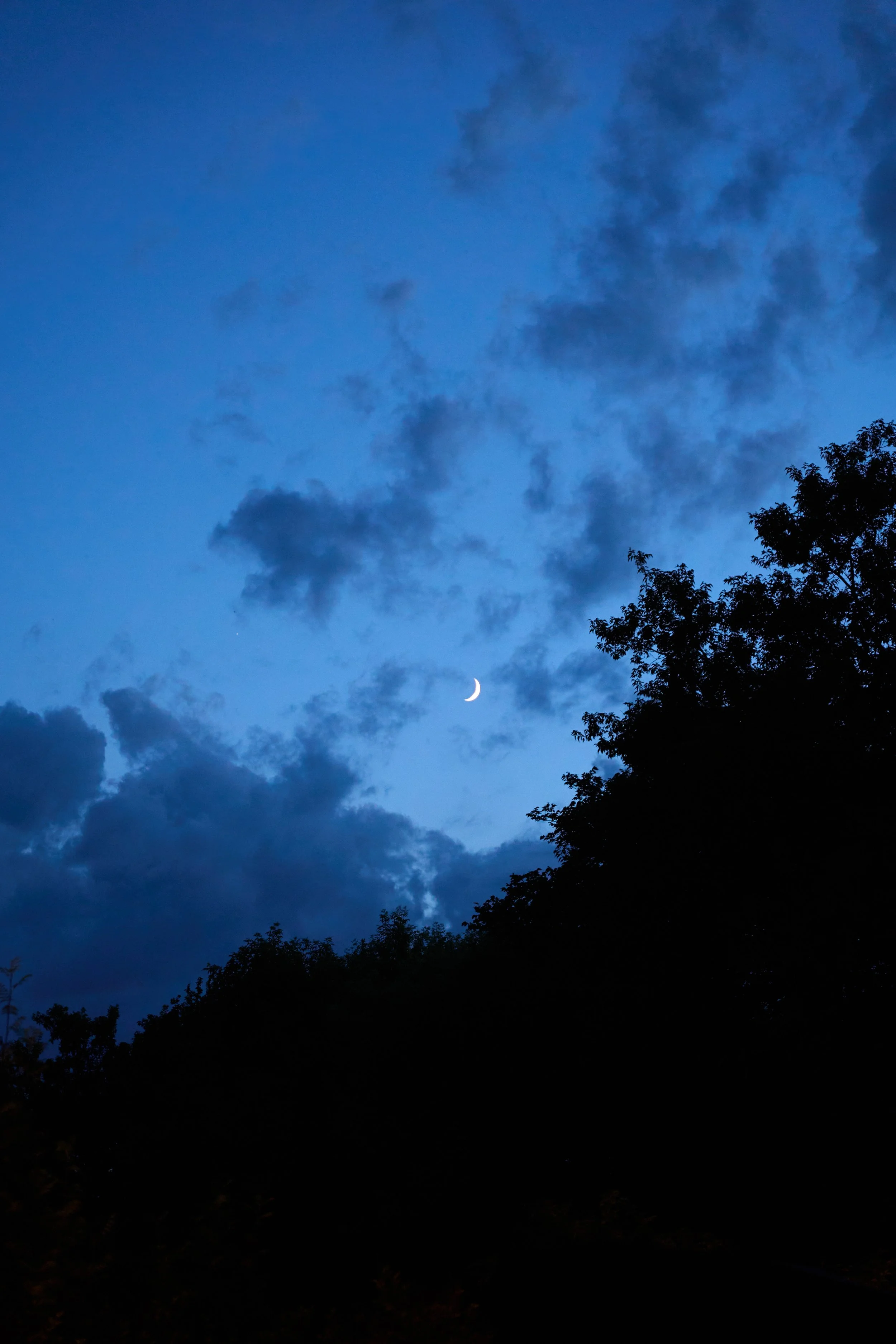 Night sky with clouds, crescent moon, and trees silhouetted at the bottom.