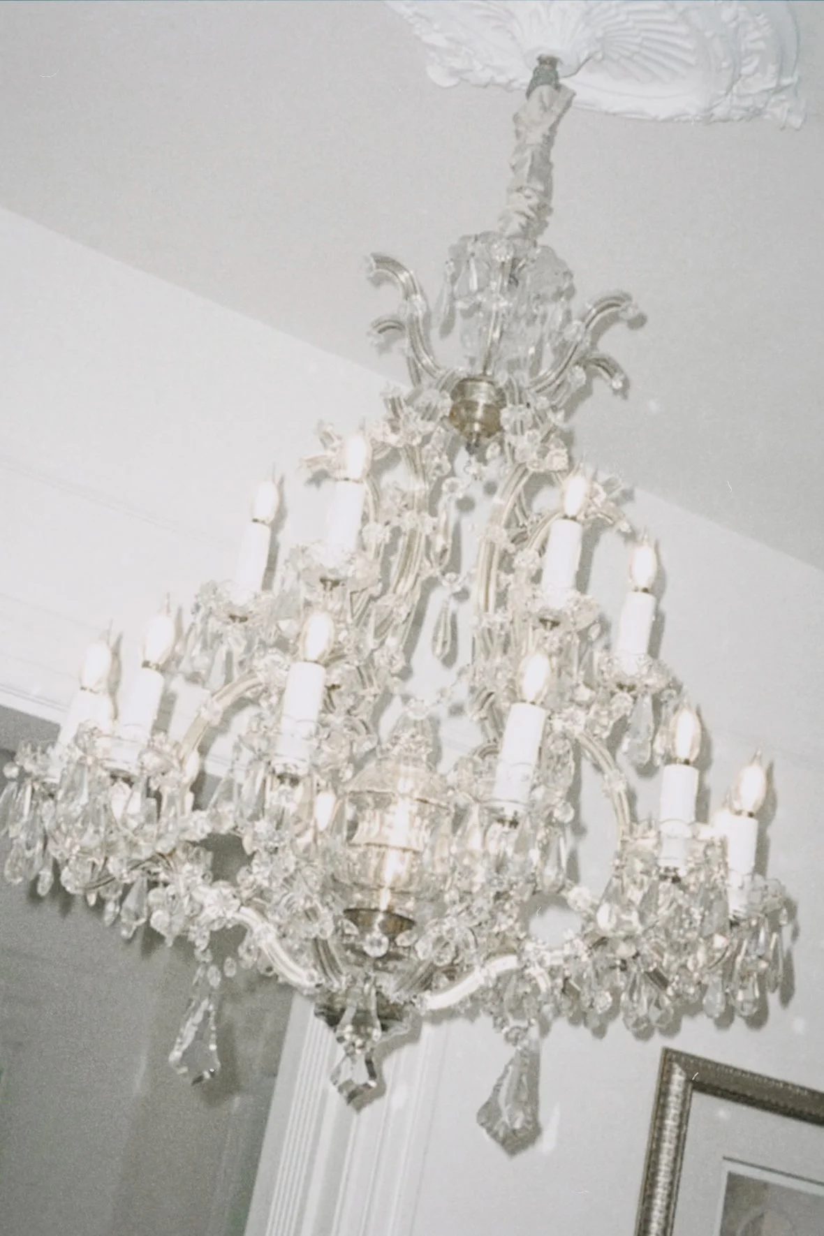 A luxurious crystal chandelier hanging from a ceiling in a room with white walls and crown molding.