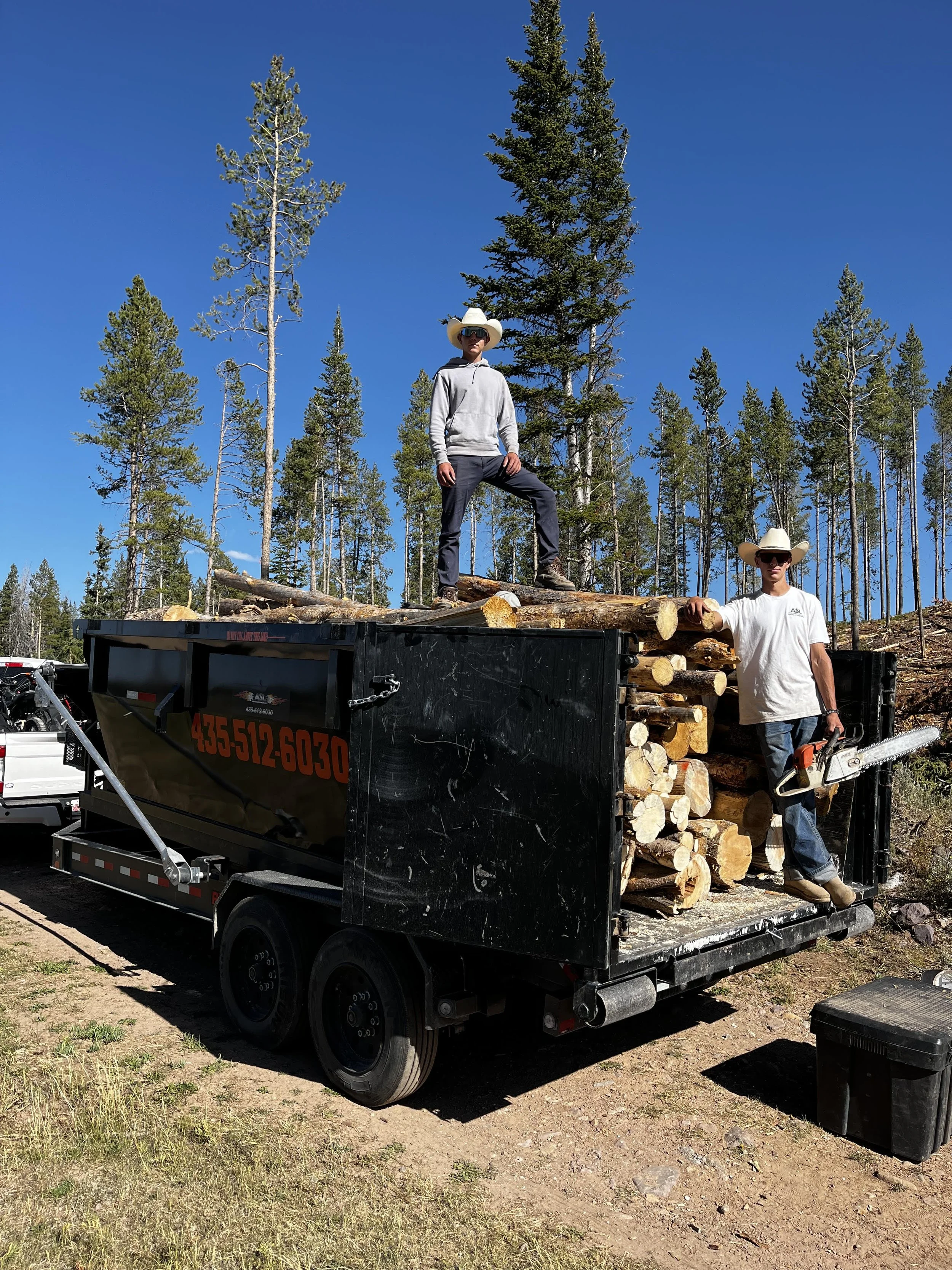 Two men wearing cowboy hats and sunglasses standing on and beside a trailer filled with cut logs, with a forest and blue sky in the background.