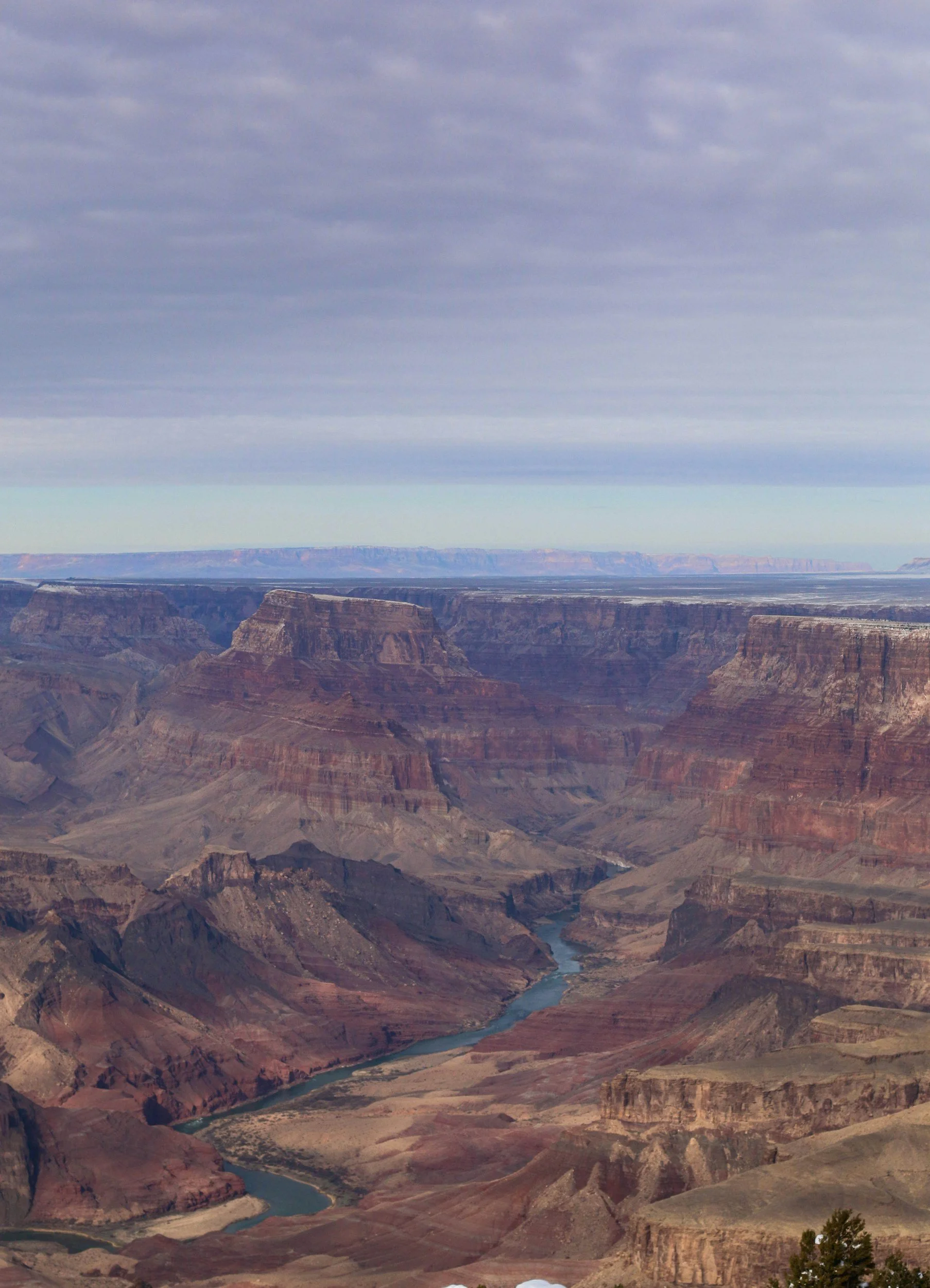 THE ARIZONA RESILIENT INFRASTRUCTURE &amp; CAPITAL COOPERATIVE FRAMEWORK ACT