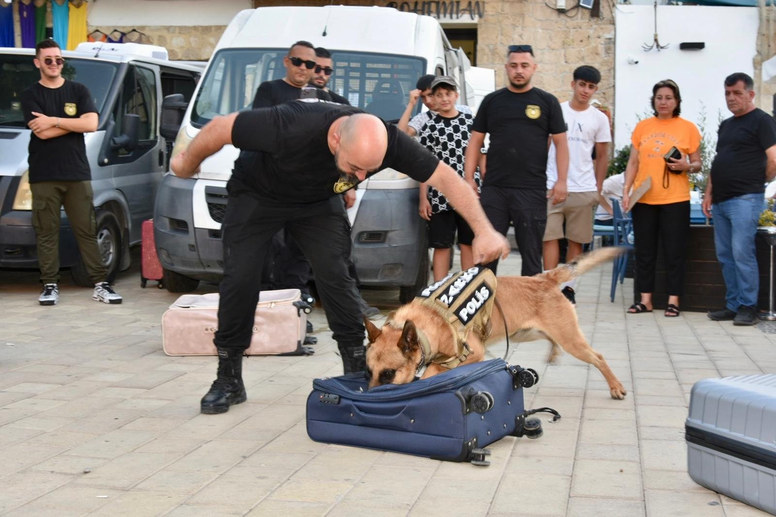 Suçluların korkulu rüyası "süper burun" dedektör köpekler her an göreve hazır…