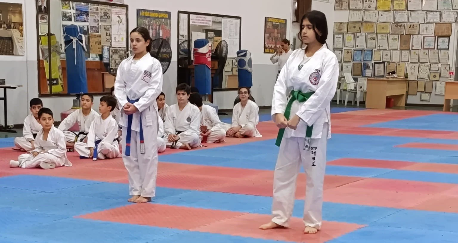Taekwondocular Cemal Ömürsel anısına yarıştı