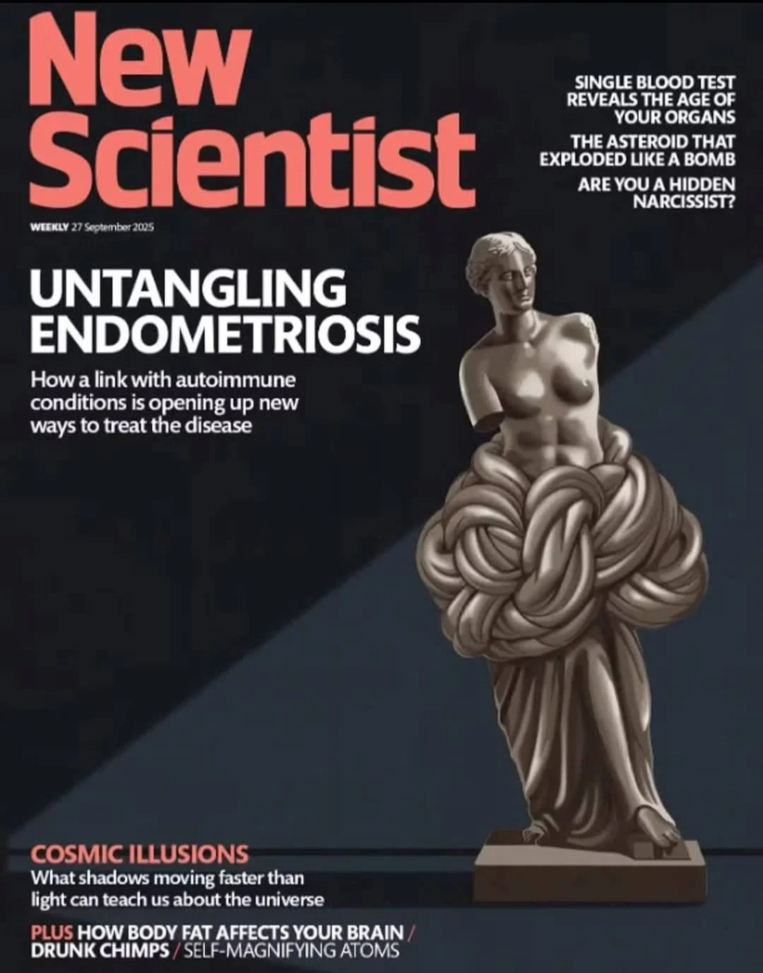 Kıbrıslı Türk biliminsanı Nilüfer Rahmioğlu'nun çalışması New Scientist dergisine kapak oldu