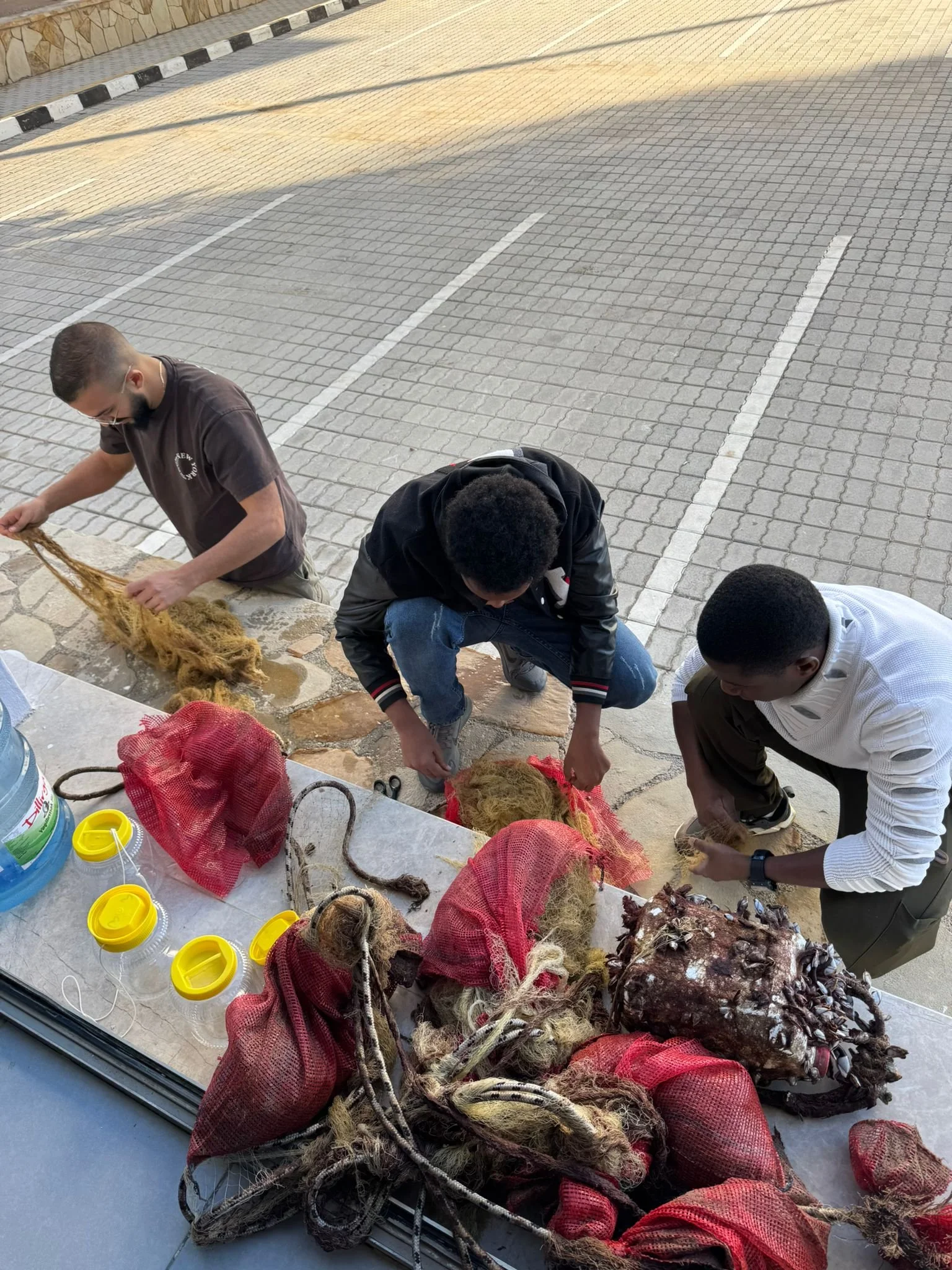 Girne Üniversitesi’nden akdeniz midyesi için umut veren keşif