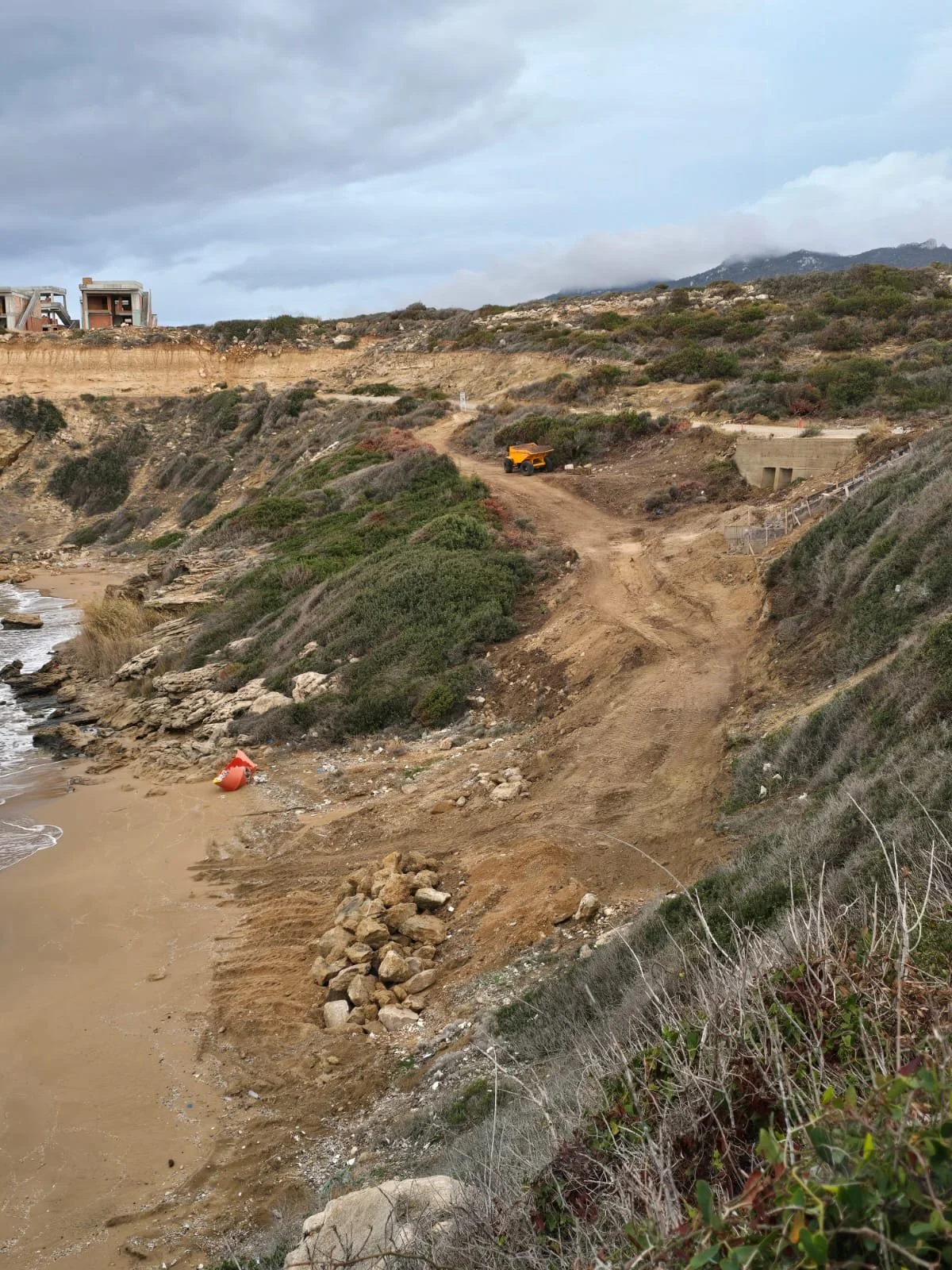 İskele sahillerinde alarm: Deniz kaplumbağaları “ihmal nedeniyle” ölüyor