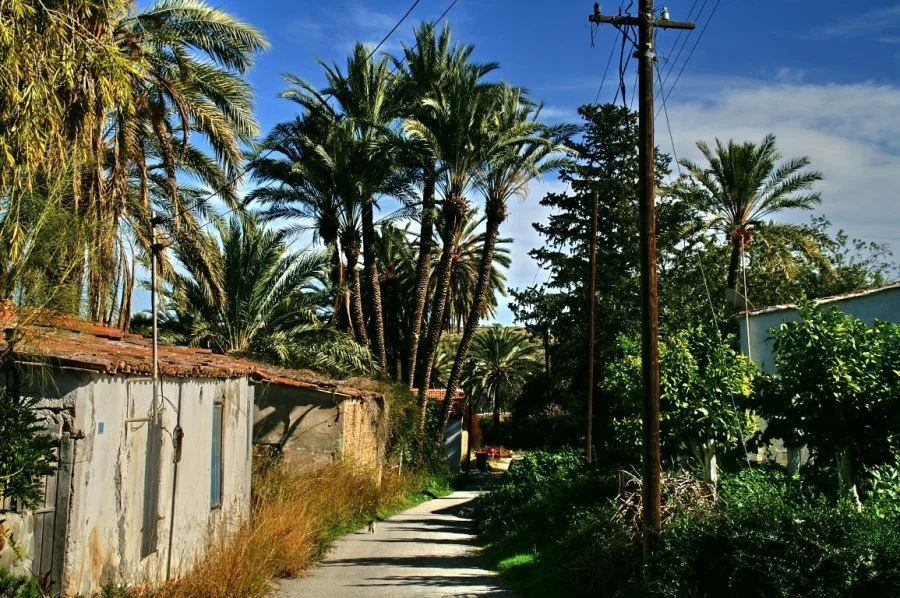 Lefke'de yaşanan alt yapı, çevre ve kent estetiği sorunlarına dikkat çekildi