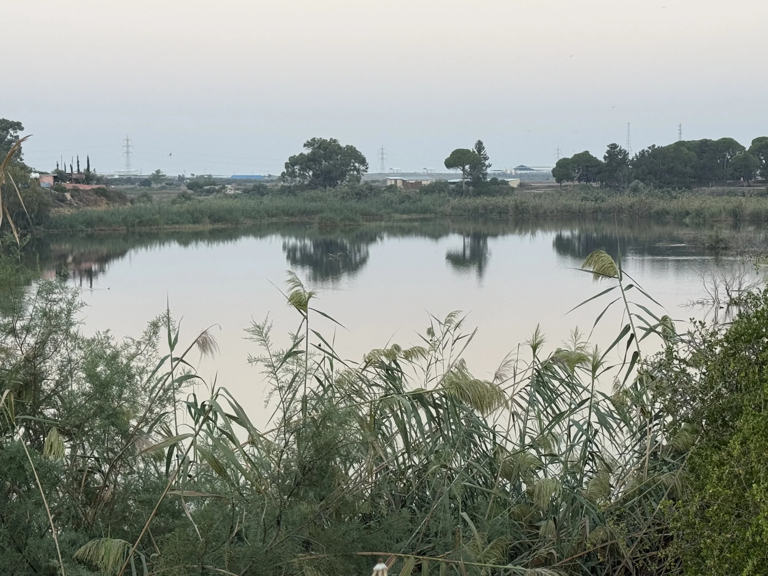 Ayluga Sulak Alanı’nda temizlik ve kuş gözlemi etkinliği düzenlendi