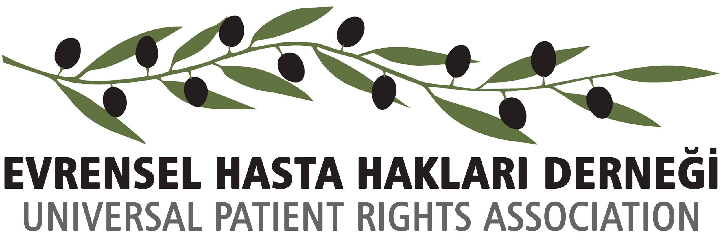 EHHD: “Halk sadece tedavi değil, onurlu, güvenli ve eşit erişilebilir sağlık hizmeti talep ediyor”