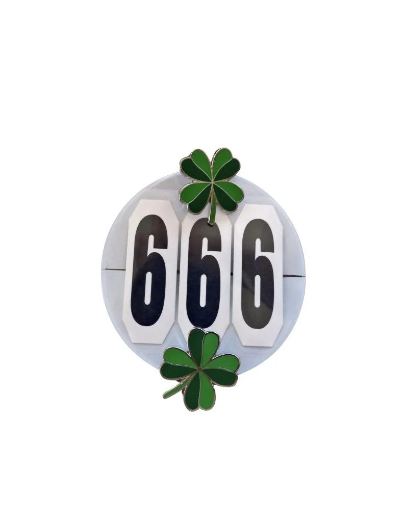 Lucky Number pins