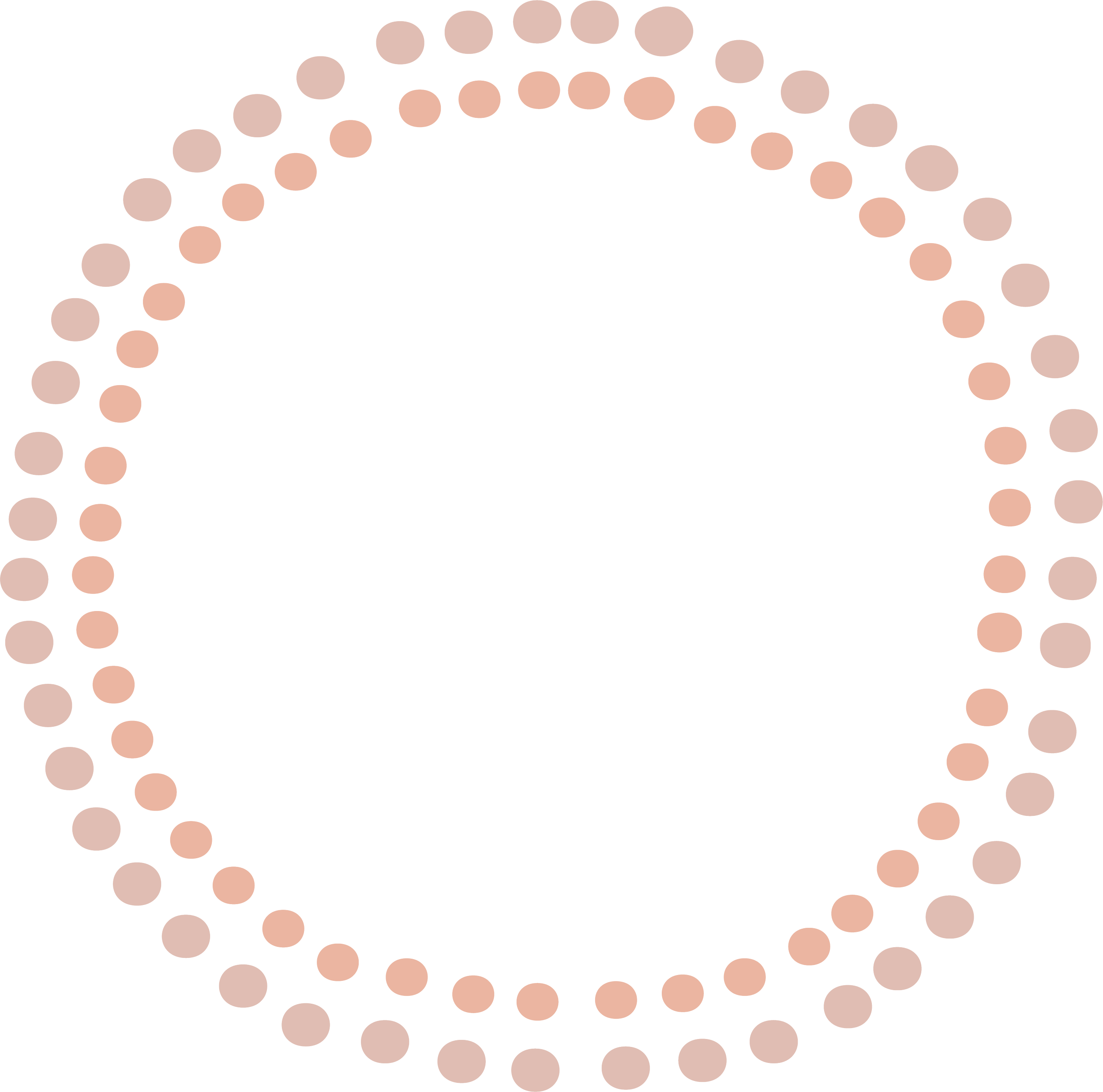 A digital illustration of a ring of pink and beige dots on a black background.