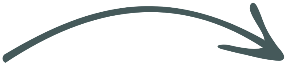 A stylized arrow pointing to the right, with a curved tail and feather details.