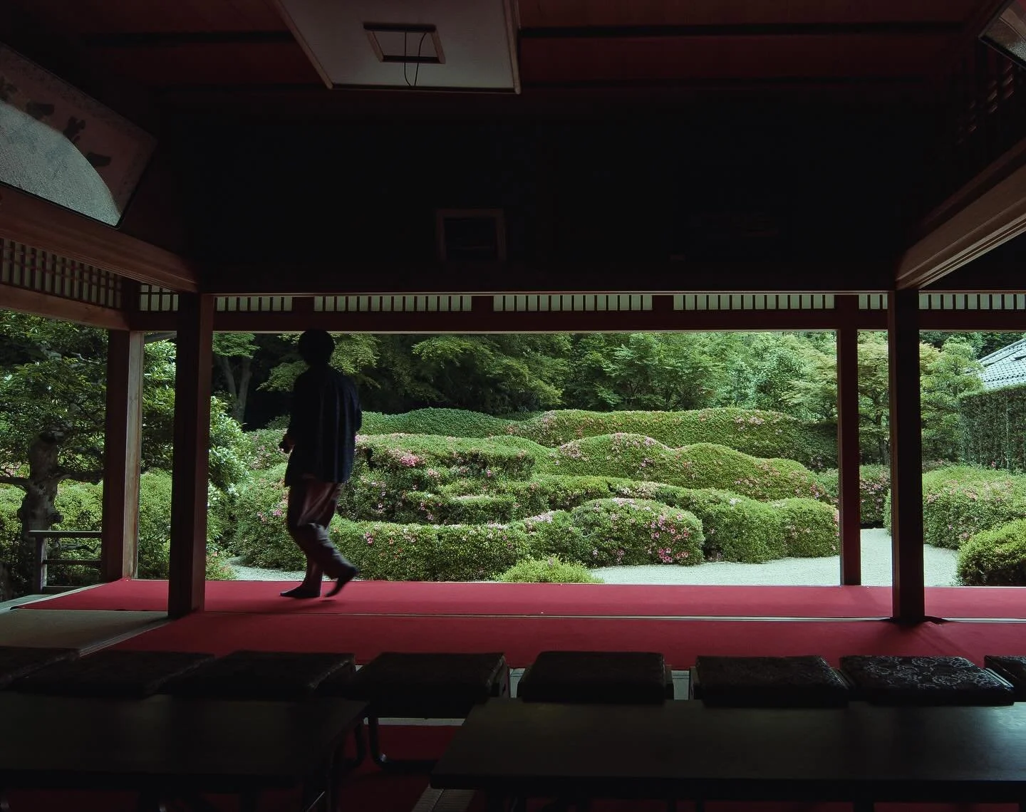 I just posted a new video.🙏✨✨

Location:
@daichiji_temple 

#庭
#zengarden 
#日本庭園
#大池寺蓬莱庭園