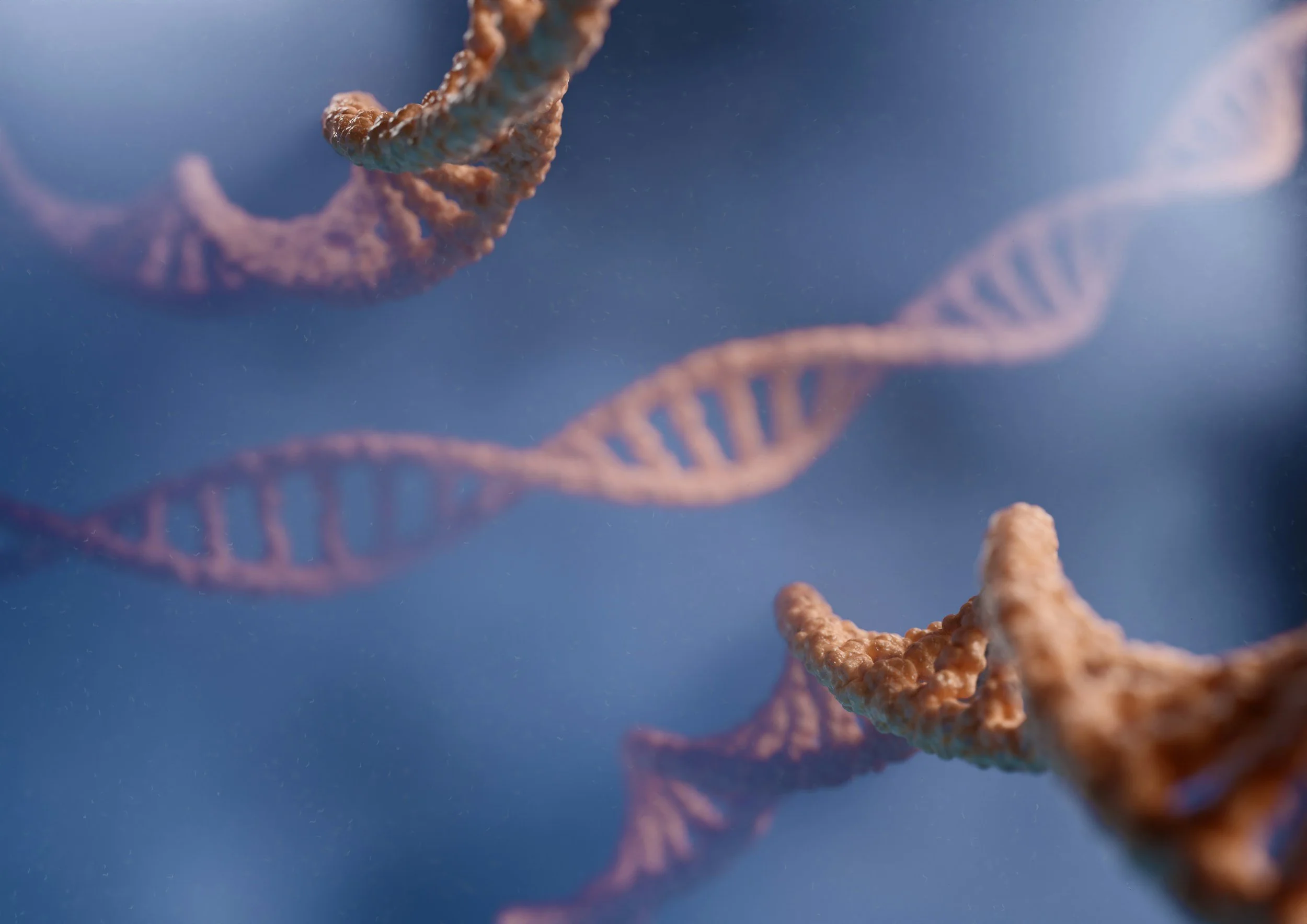 Close-up of pink and purple DNA double helix strands floating in a blue background.