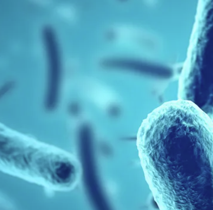 The Fascinating  Connection Between the Microbiome and Your Immune System