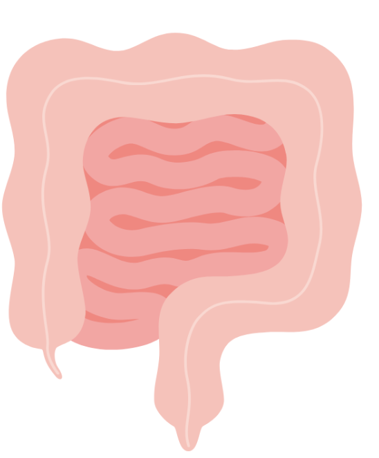 Is Impaired Gut Barrier Function a Gateway to Autoimmunity?