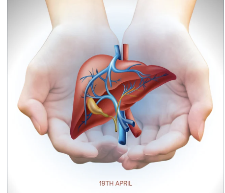 The Hidden Role of Choline in Fatty Liver Risk After Menopause