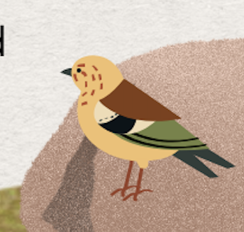 The Hidden Link Between Modern Stress and Chronic Inflammation