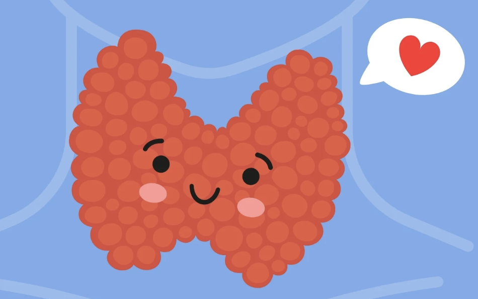 Autoimmune Thyroid Disease: Treating the Immune System, Not Just the Thyroid