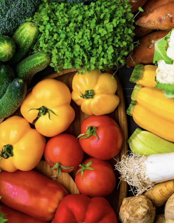 Why Gut Health Is the Foundation of Whole-Body Wellness?