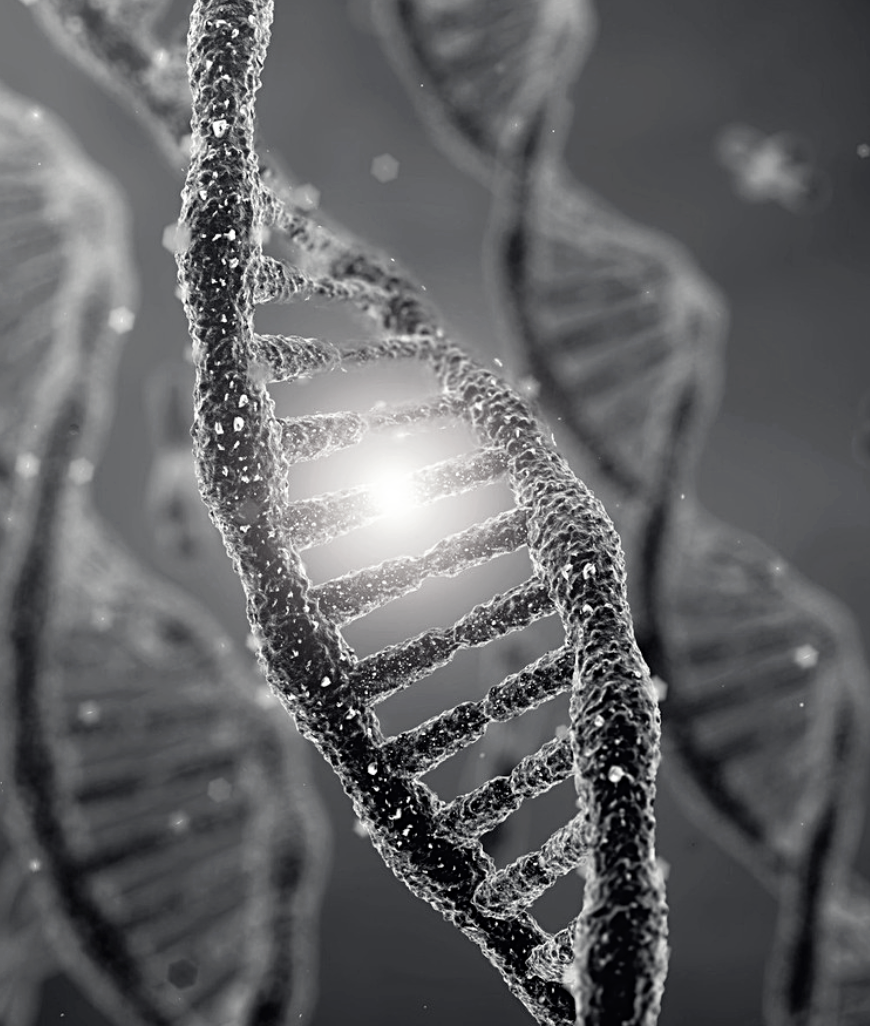 MTHFR and HRT: Should You Consider Genetic Testing Before Starting Hormone Therapy?