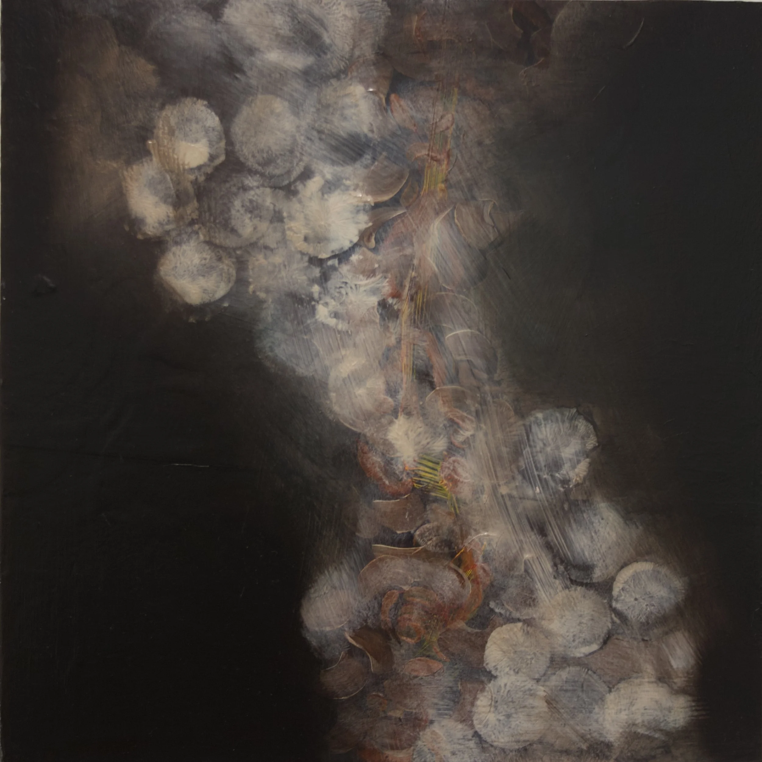 Untitled, 2025, Acrylic on board, 30 x 30cm