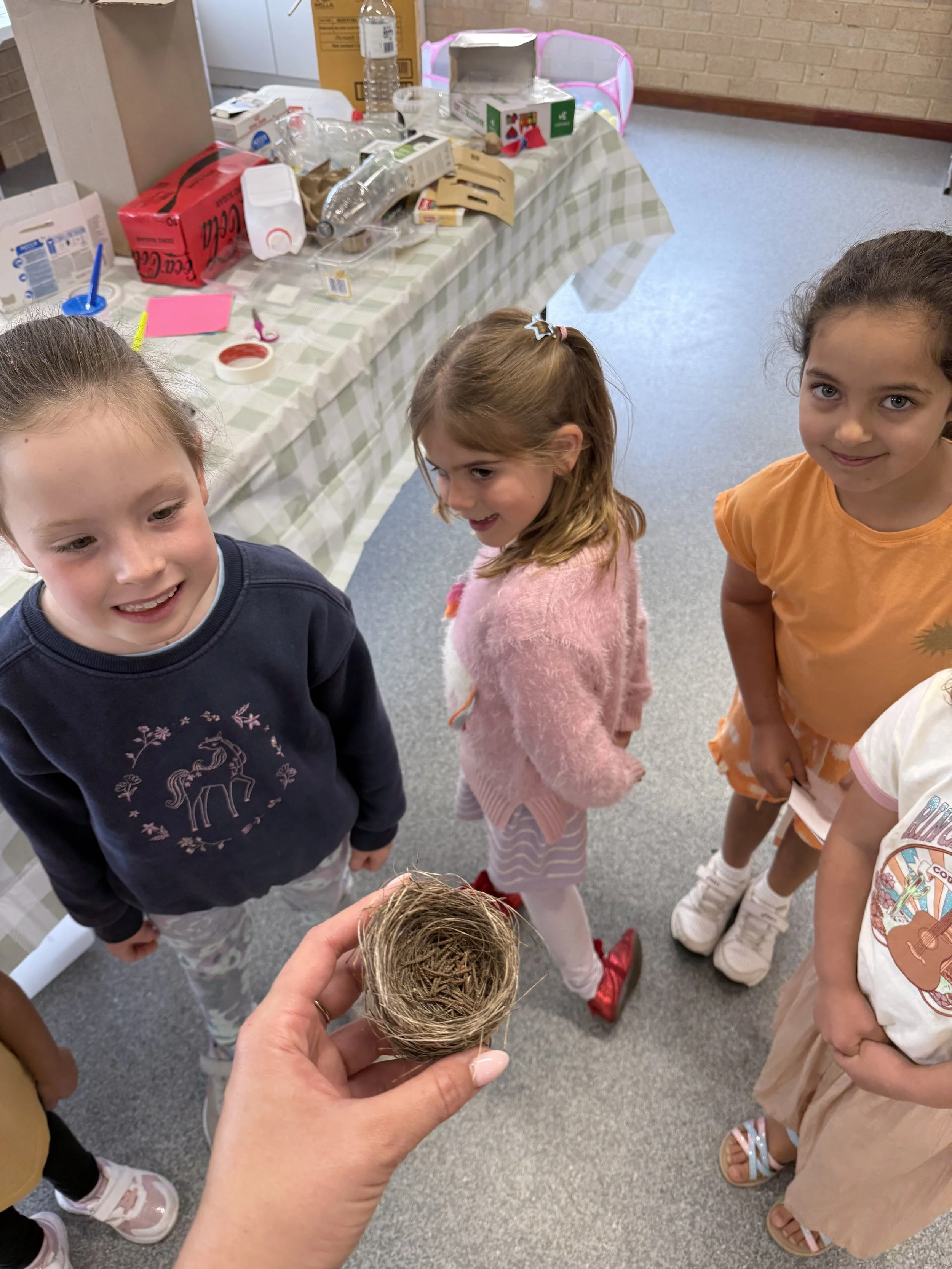 A person holding a bird's nest in front of four young girls looking at it with curiosity, in a room with a table covered with clear plastic wrap, bottles, and various supplies.