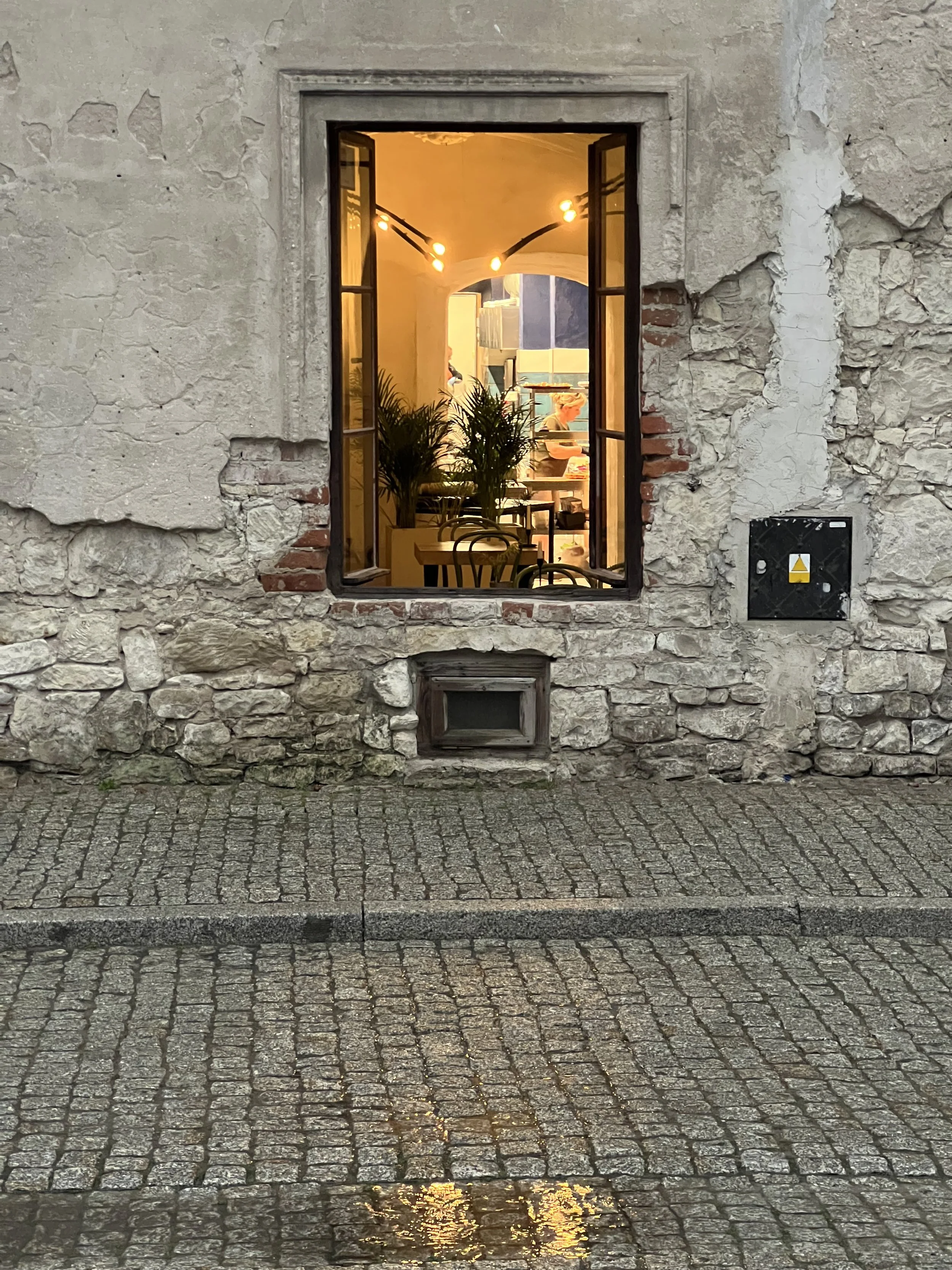 IMG_2621.jpeg