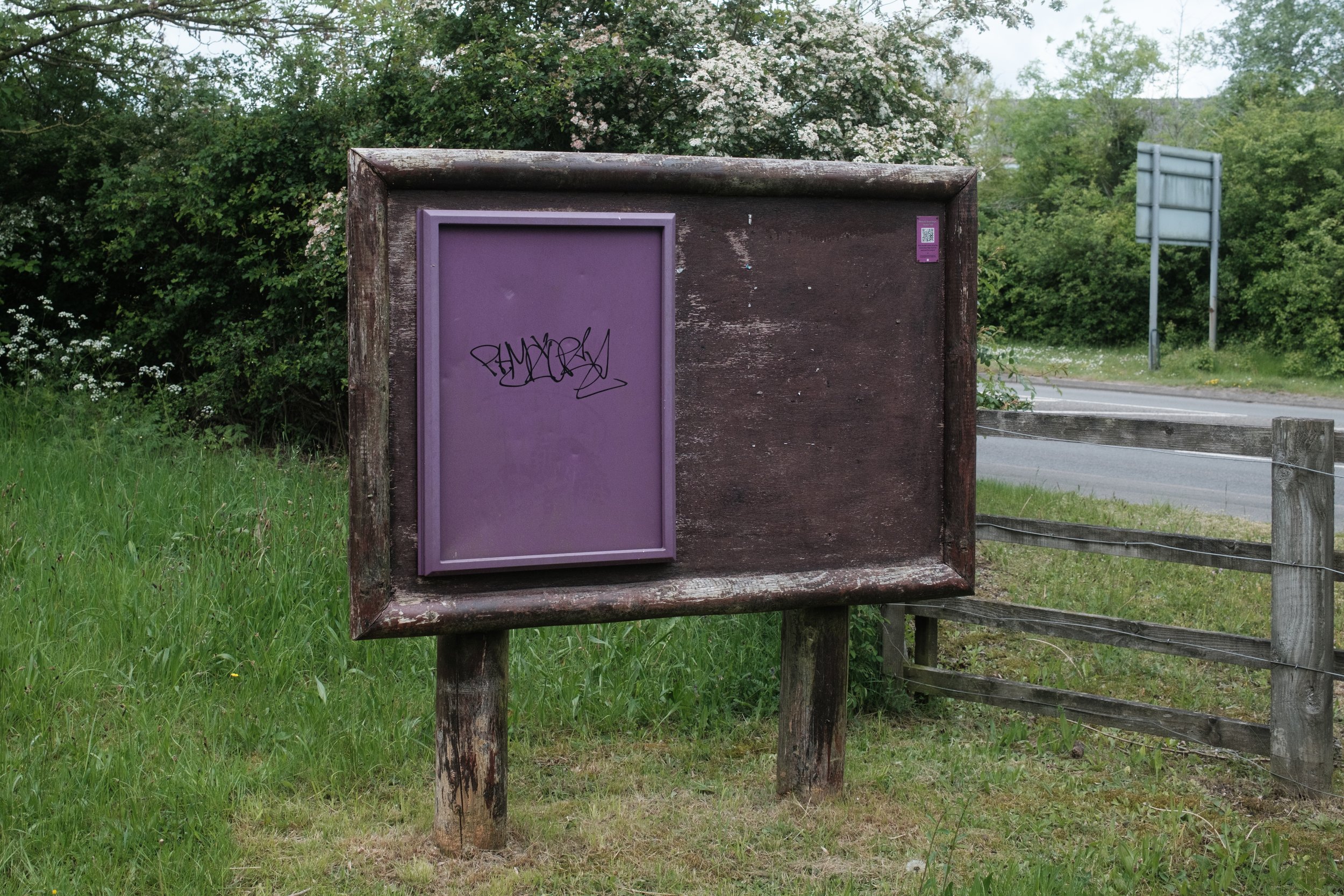 _DSF0579.jpg