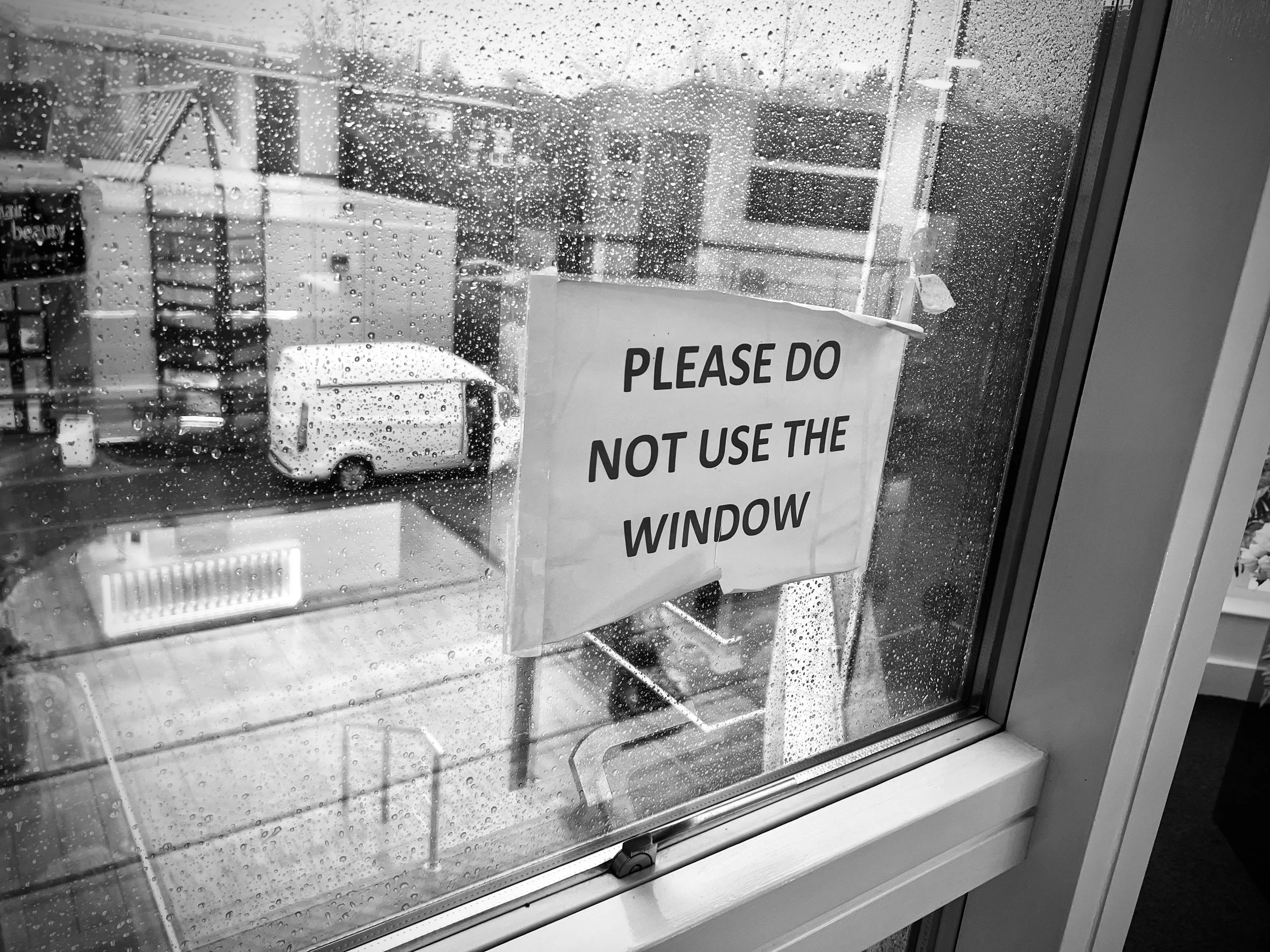 IMG_4446.jpeg