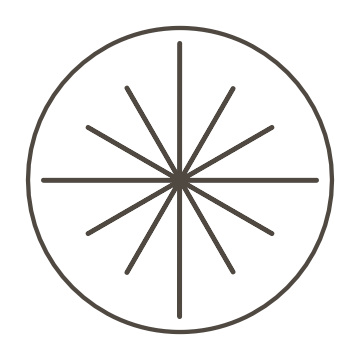 An icon with a starburst contained within a circle shape.