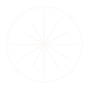 An icon with a starburst contained within a circle shape.