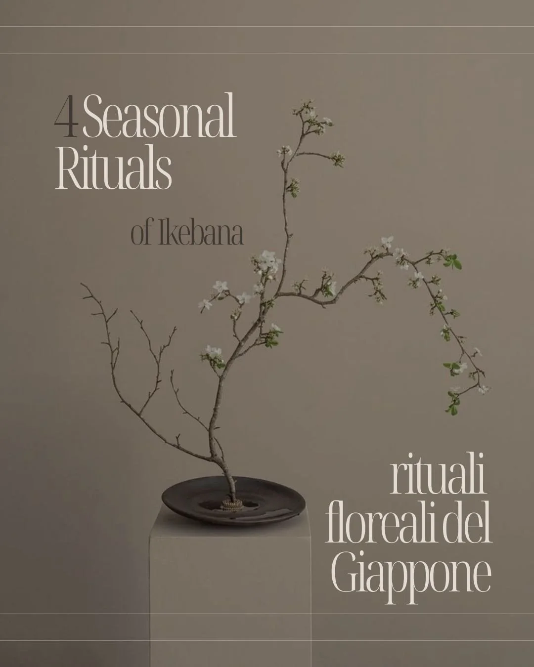4 stagioni. 4 rituali. Un&rsquo;unica filosofia: equilibrio.🌿
L&rsquo;Ikebana &egrave; ascolto della natura e rispetto dello spazio.
Non si tratta di riempire, ma di scegliere.
Non di aggiungere, ma di dare significato.

Primavera: rinascita e slanc