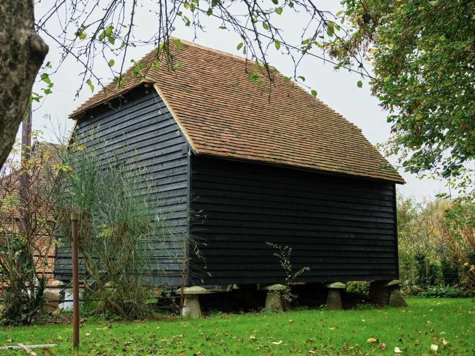 A small black wooden shed on concrete blocks in a grassy yard, surrounded by trees and plants.