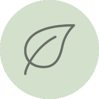 Simple line drawing of a leaf on a light green circular background.