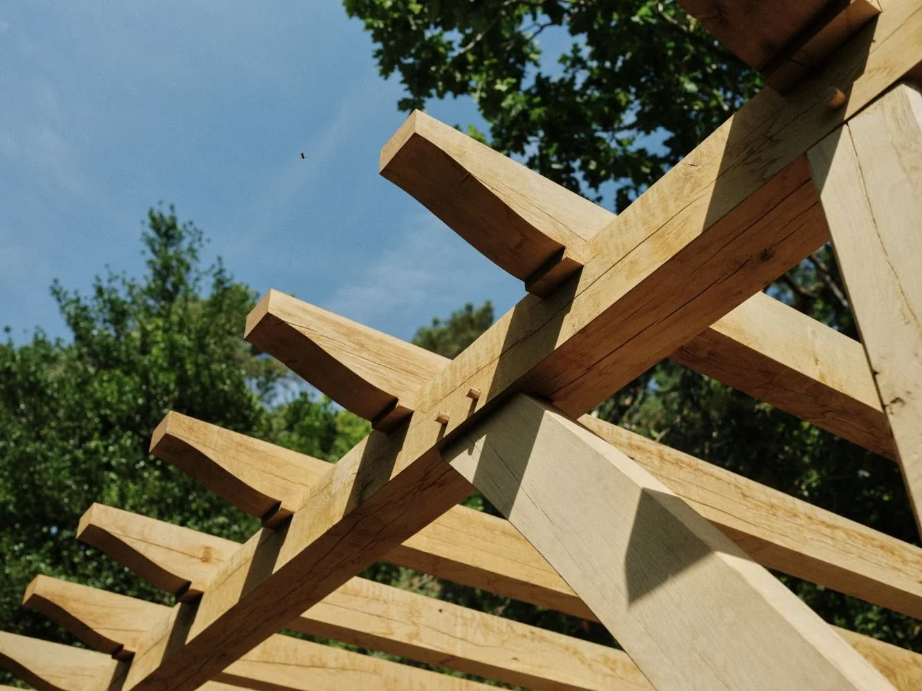 Close-up of a wooden structure under construction with trees and a blue sky in the background.