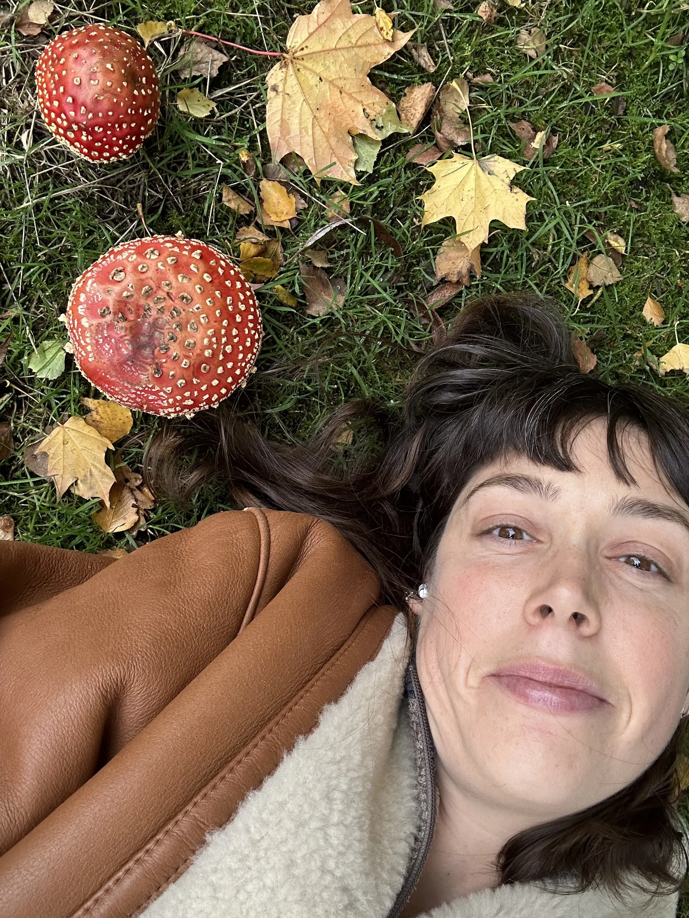 Wiggle with the illusive and evocative Amanita Muscaria