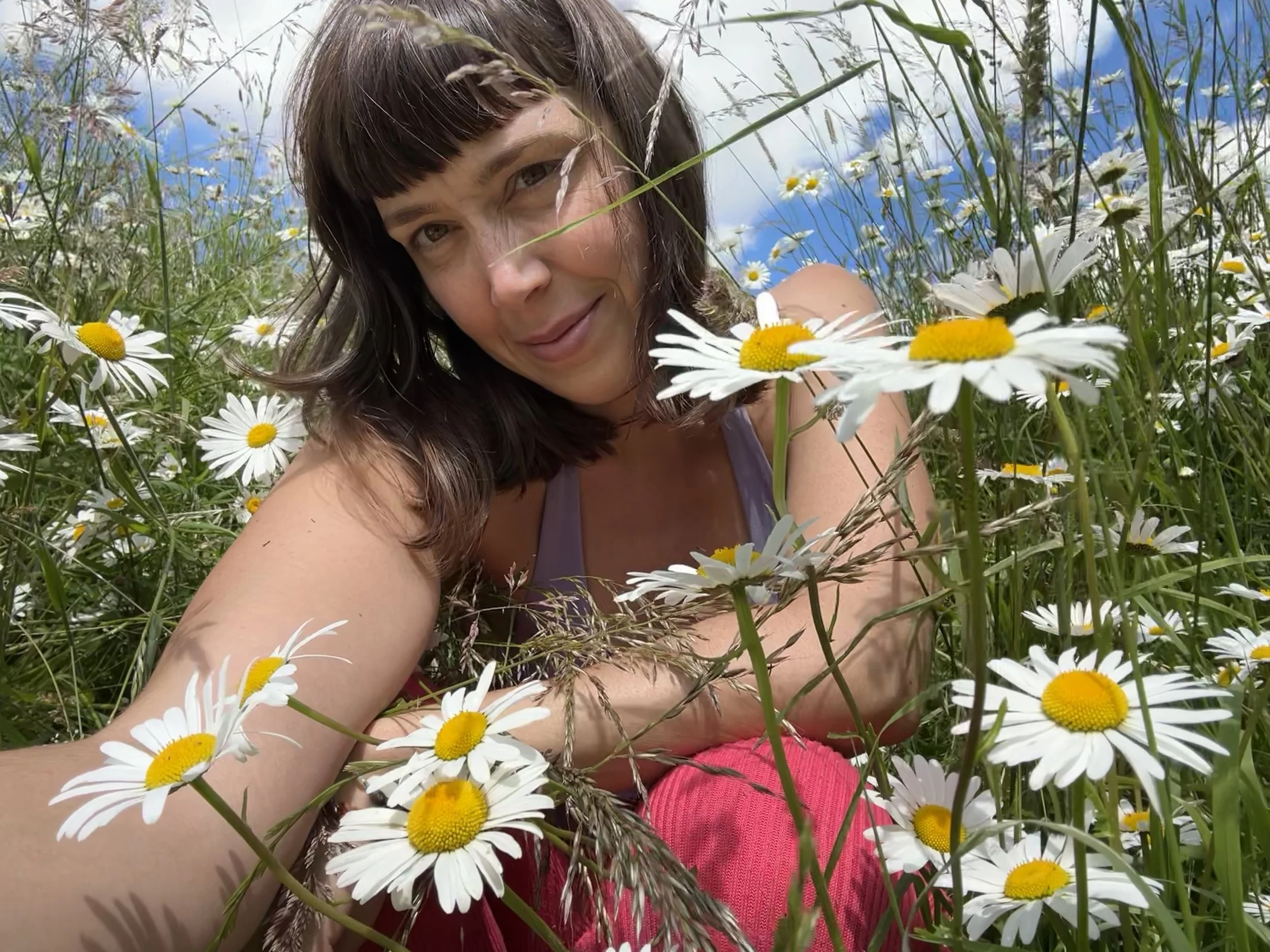 Wiggle in the oxeye daisy patch